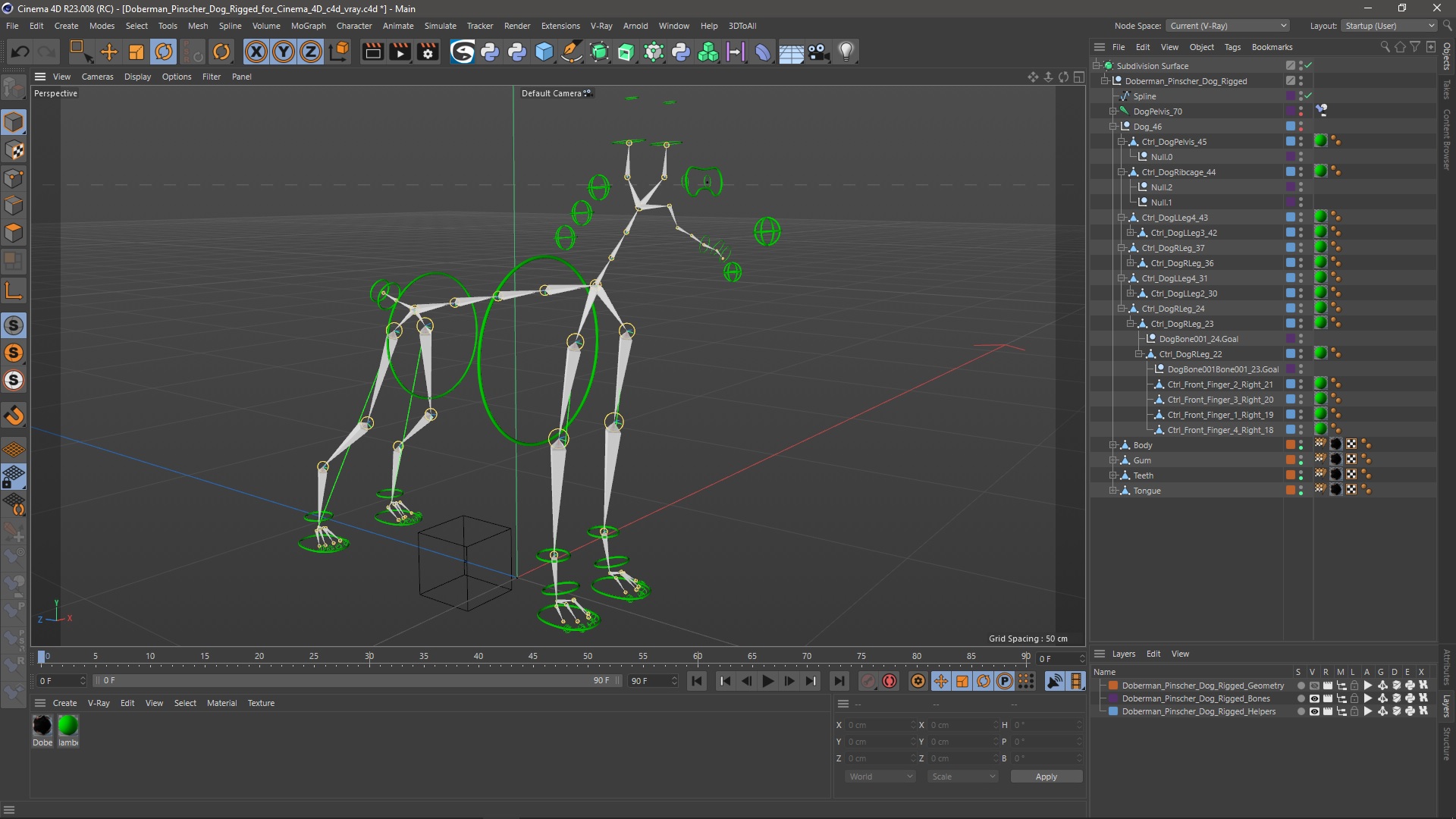 Doberman Pinscher Dog Rigged for Cinema 4D 3D