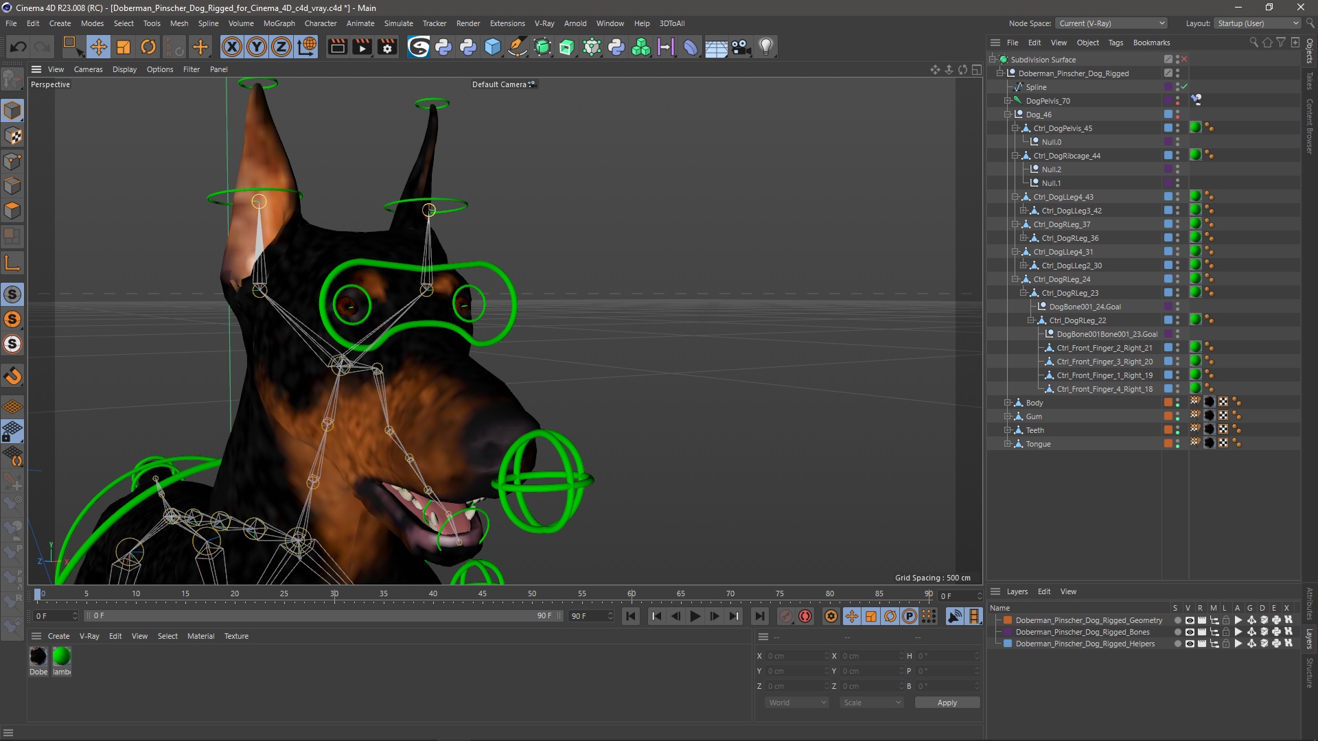 Doberman Pinscher Dog Rigged for Cinema 4D 3D