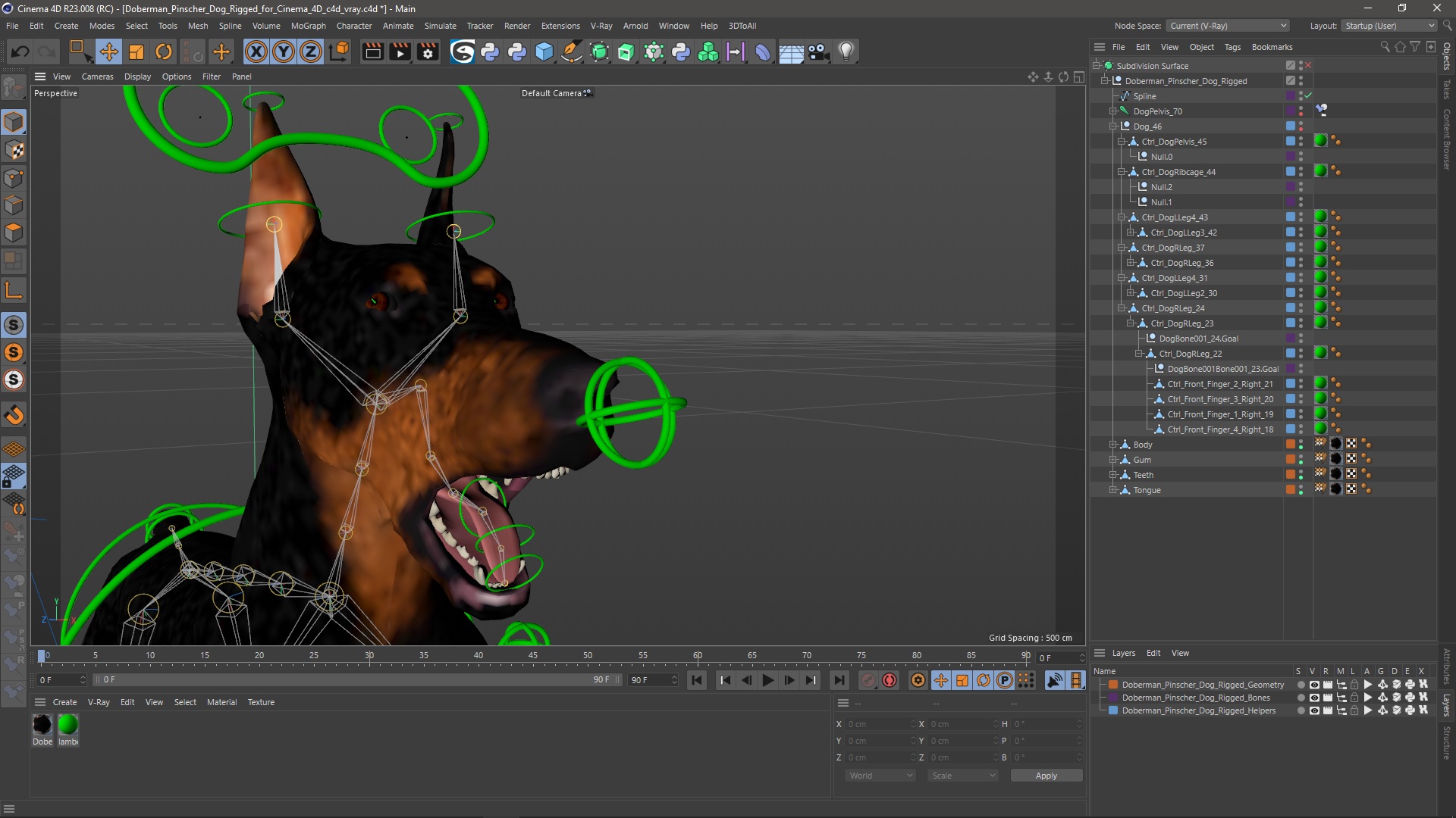 Doberman Pinscher Dog Rigged for Cinema 4D 3D