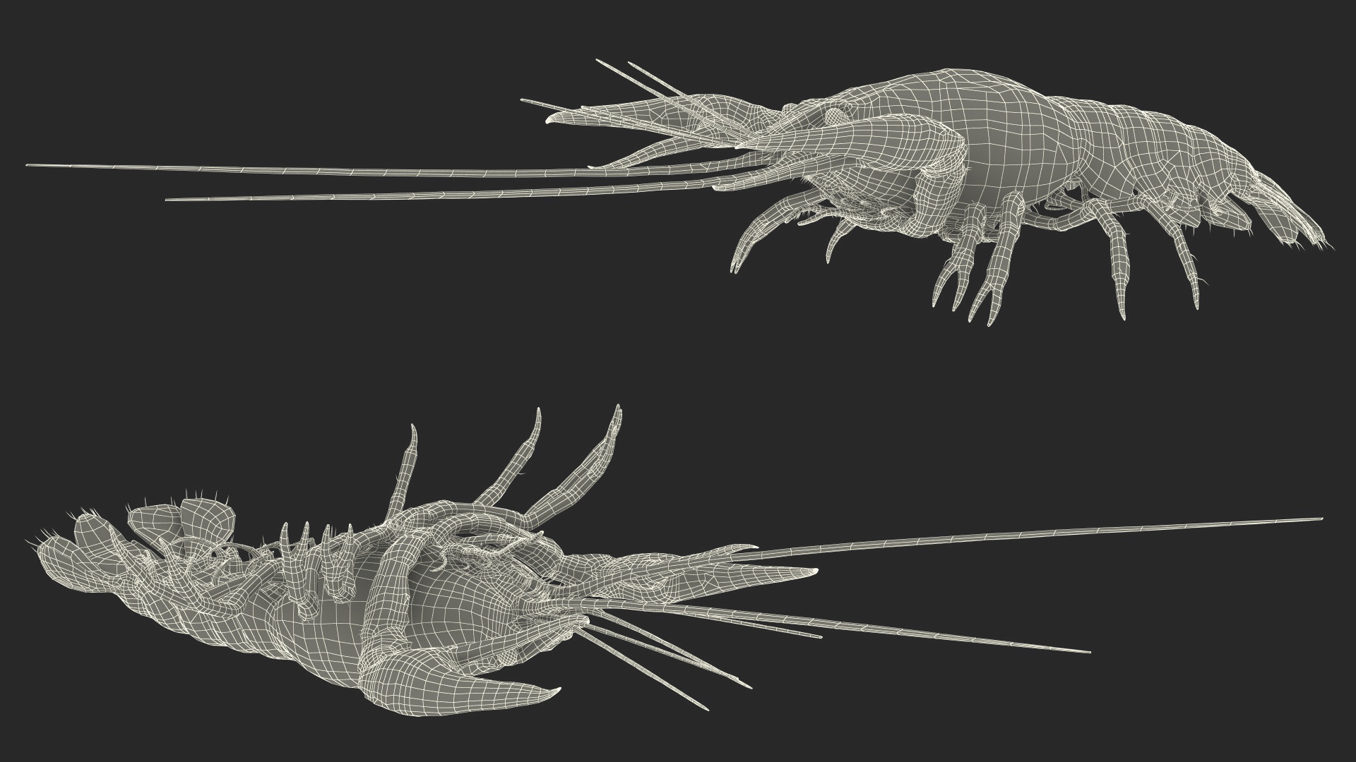 3D model Blue Crayfish Rigged