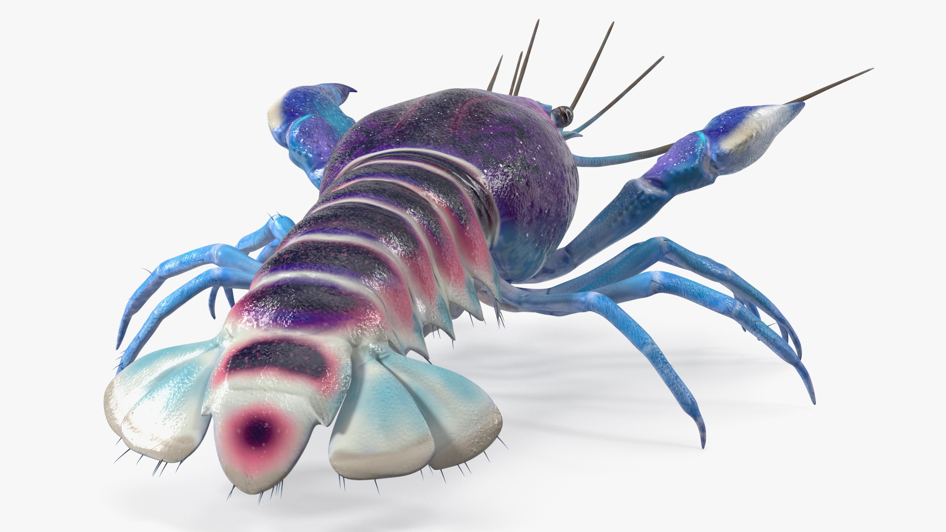 3D model Blue Crayfish Rigged