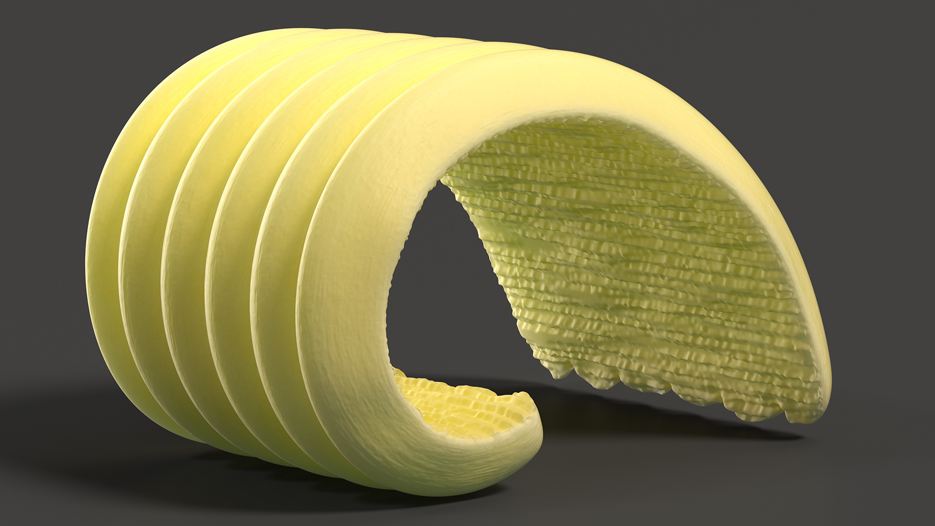 3D model Slice of Butter with Curl