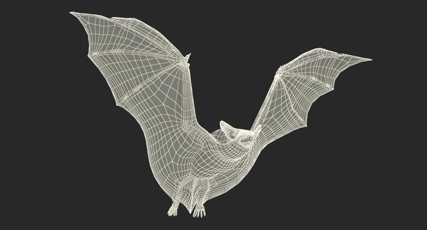 3D model Flying Bat