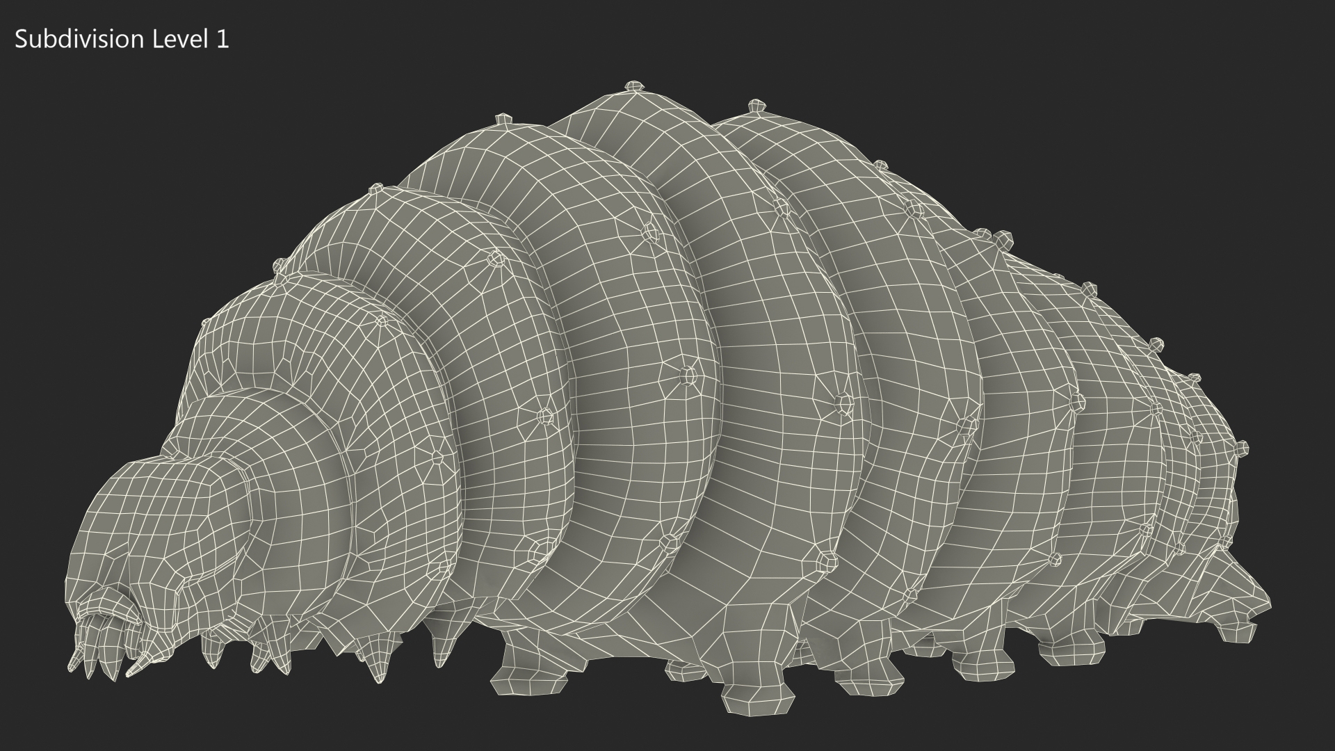 3D Silkworm Green Fur model