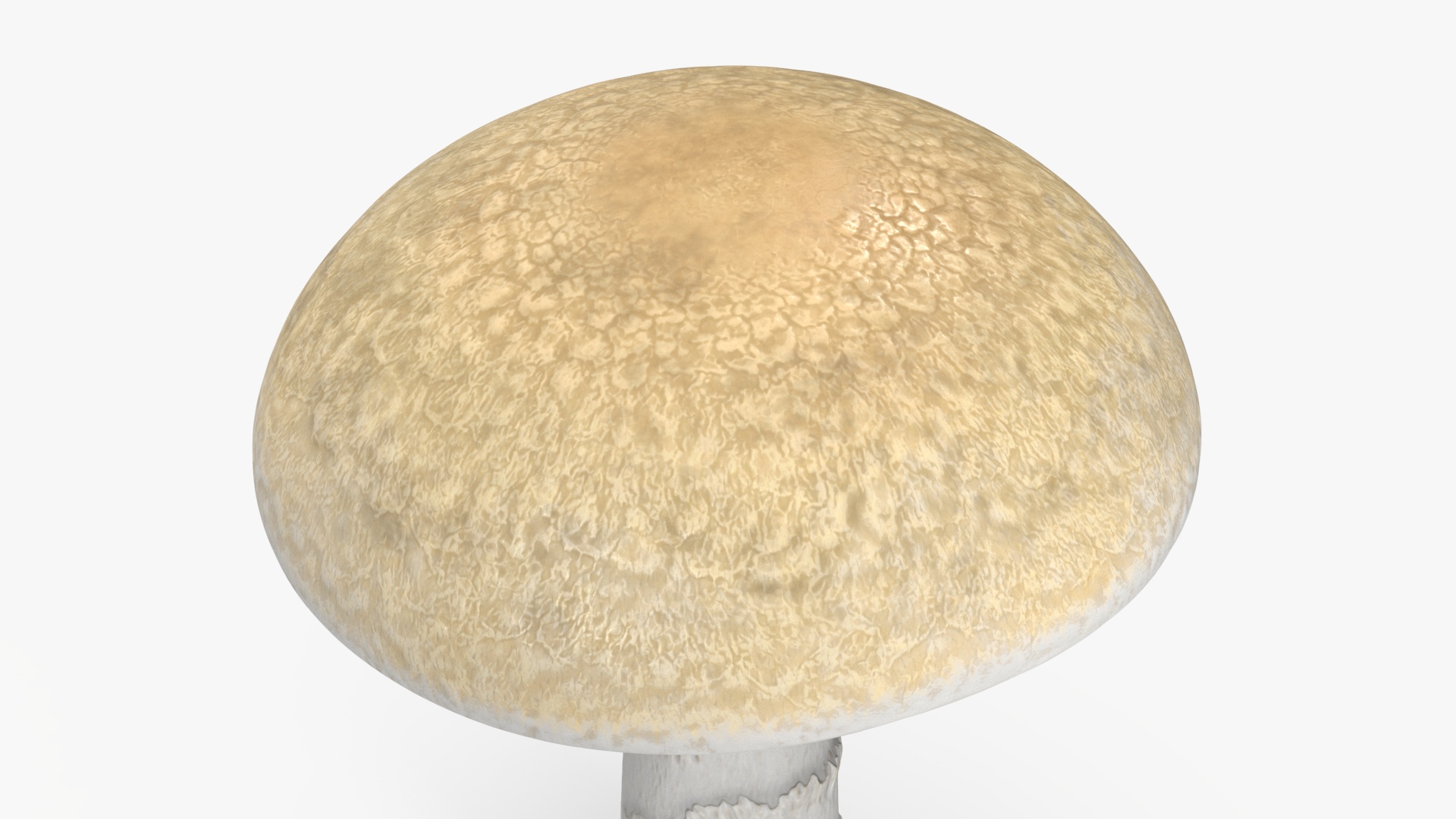 Toadstool 3D model