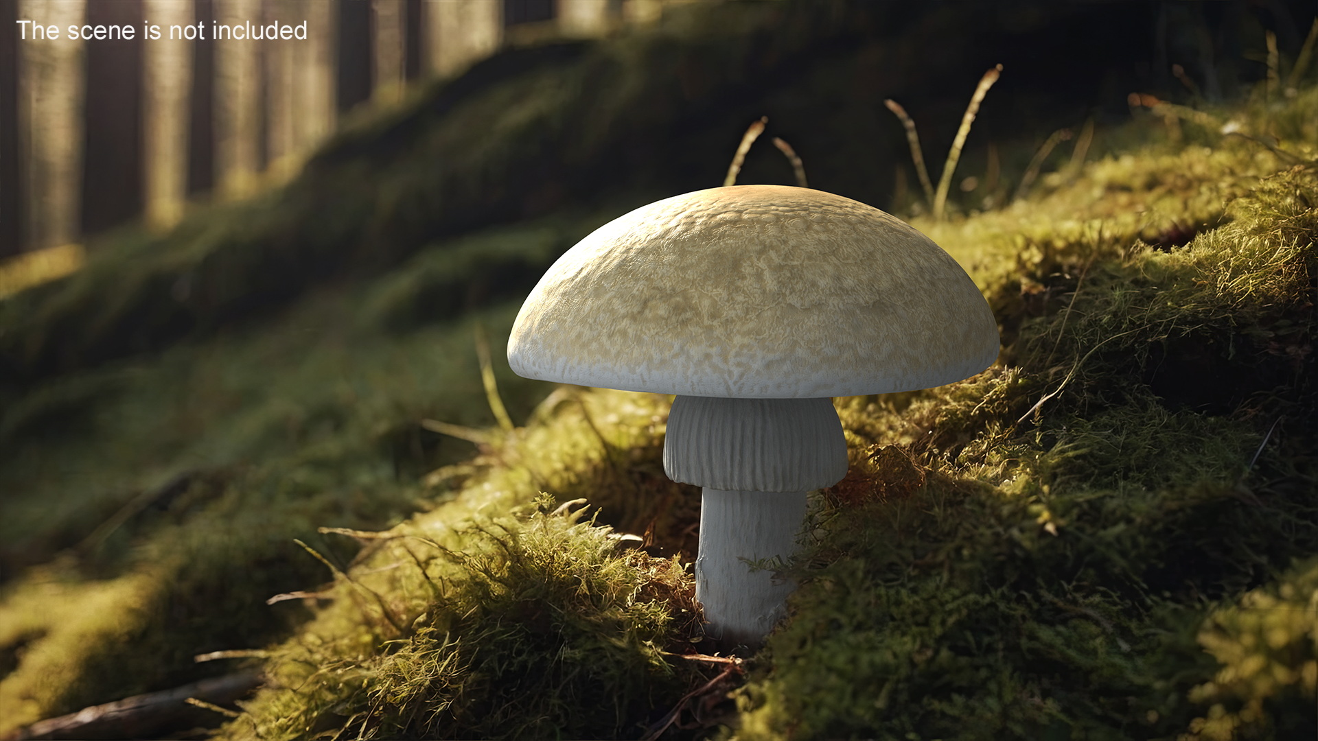 Toadstool 3D model