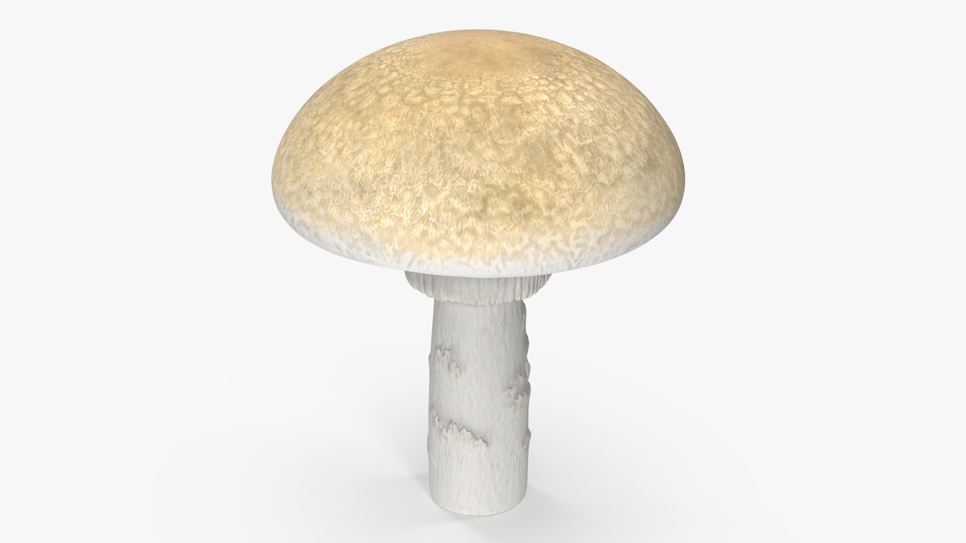 Toadstool 3D model