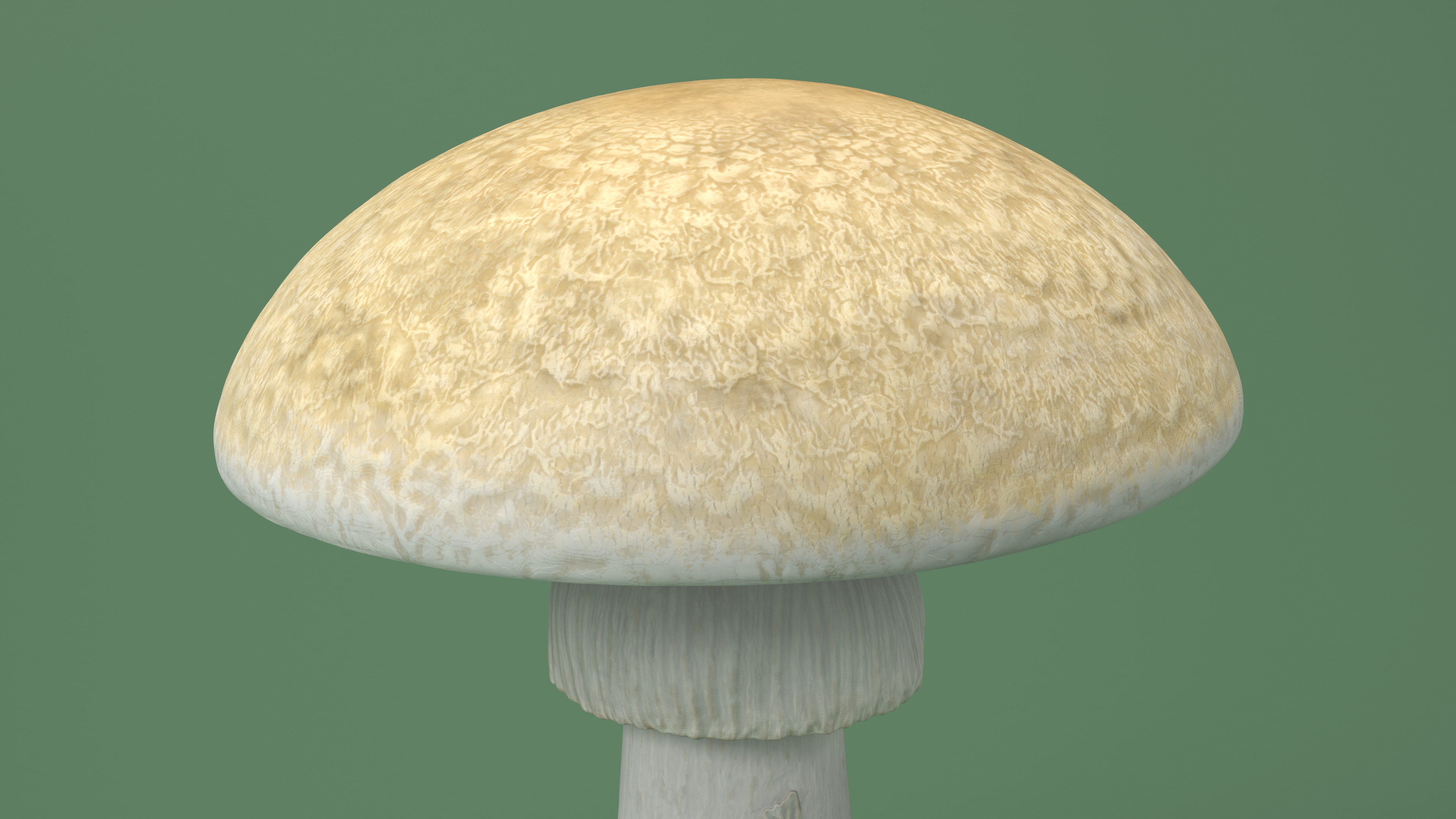 Toadstool 3D model