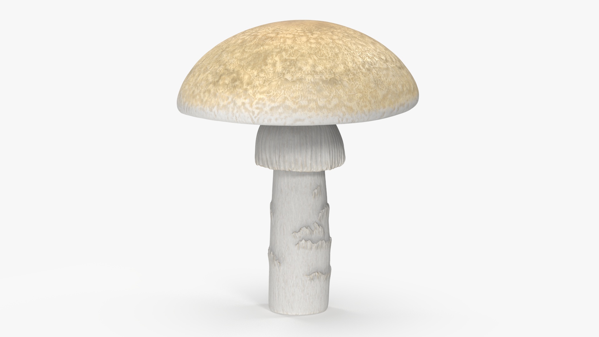 Toadstool 3D model