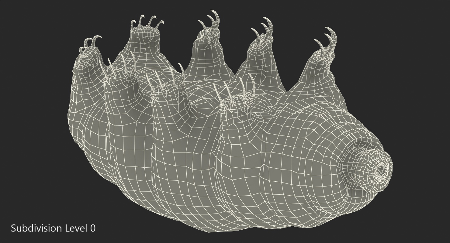 Tardigrade Rigged 3D