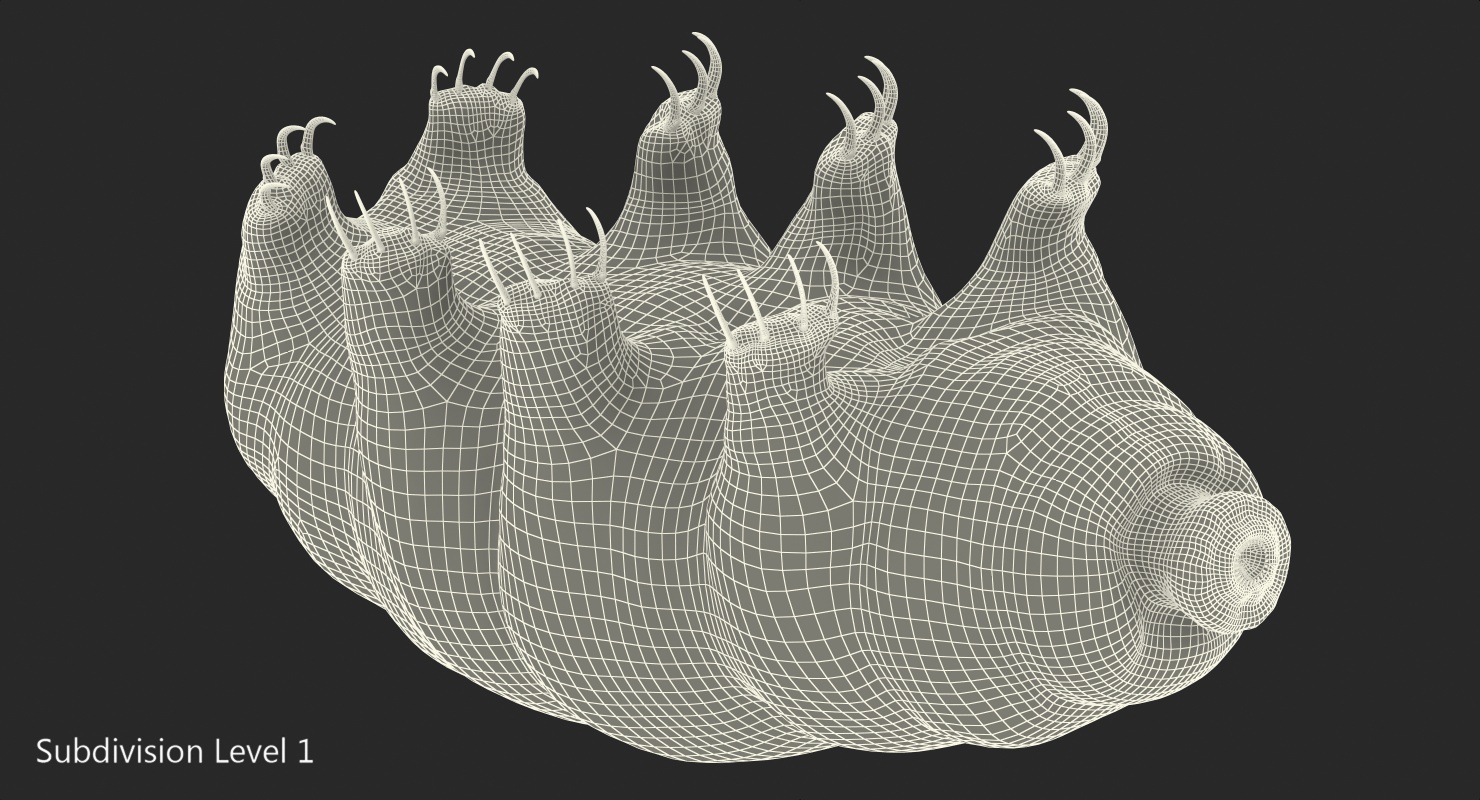 Tardigrade Rigged 3D