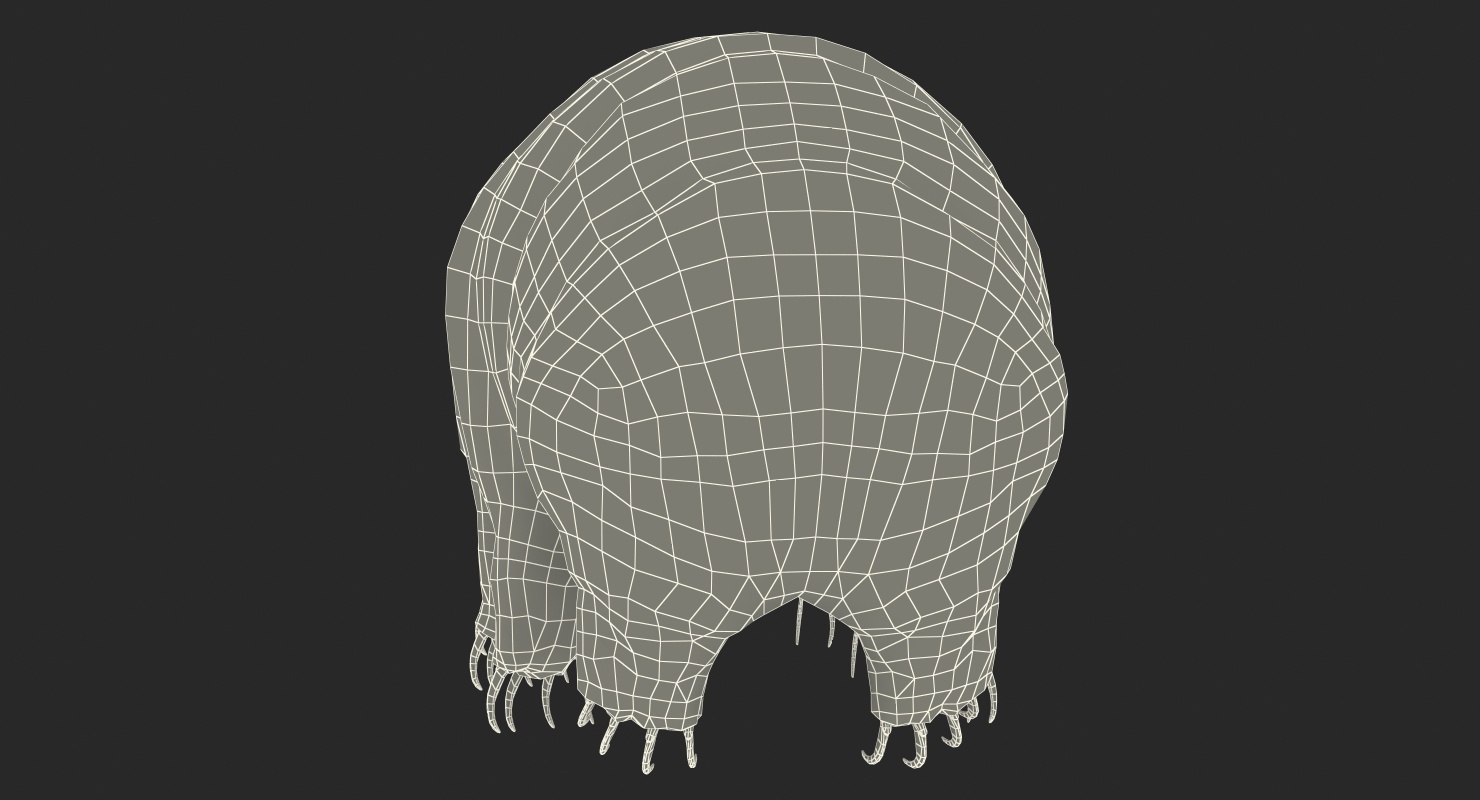 Tardigrade Rigged 3D