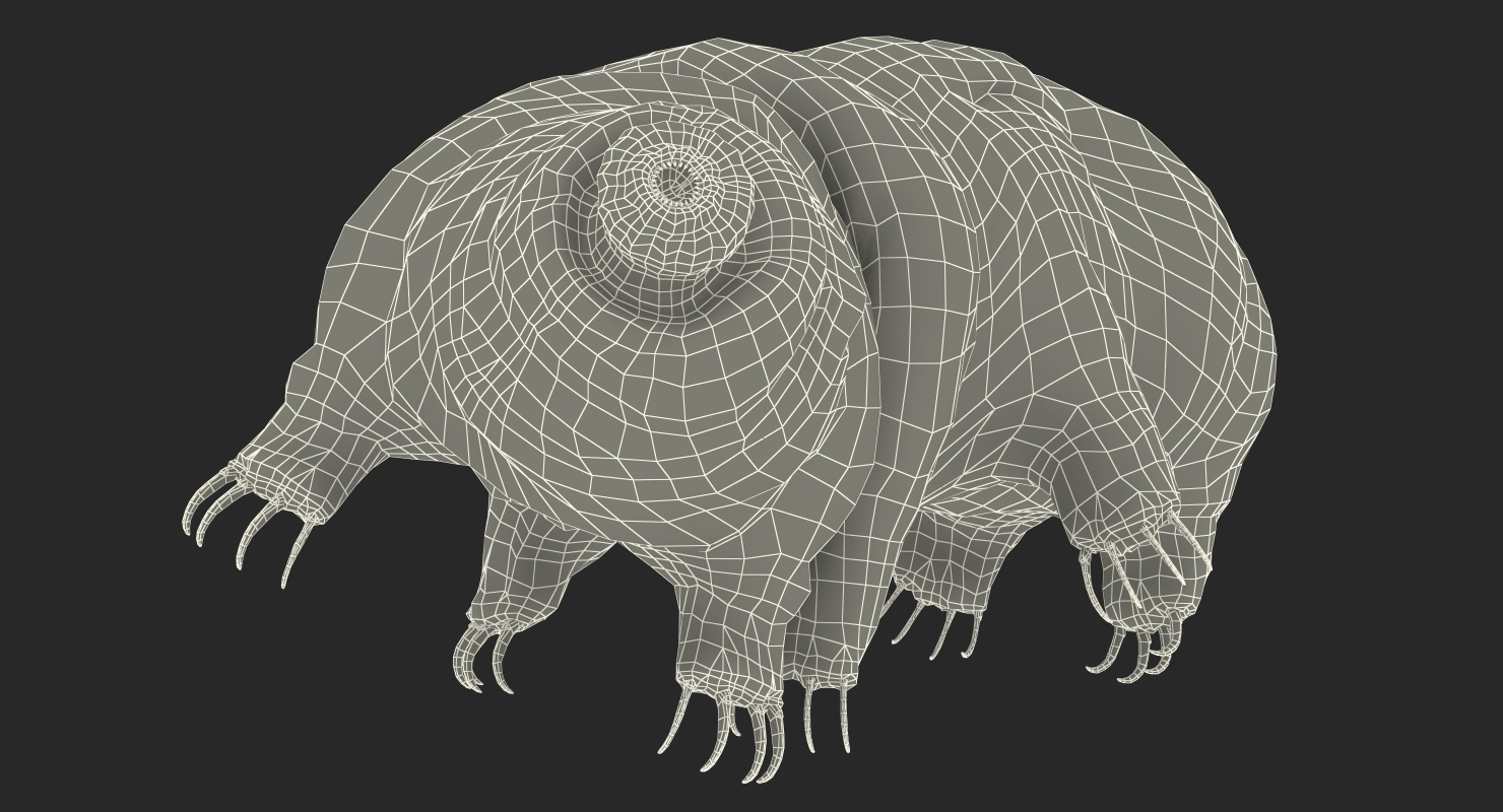 Tardigrade Rigged 3D