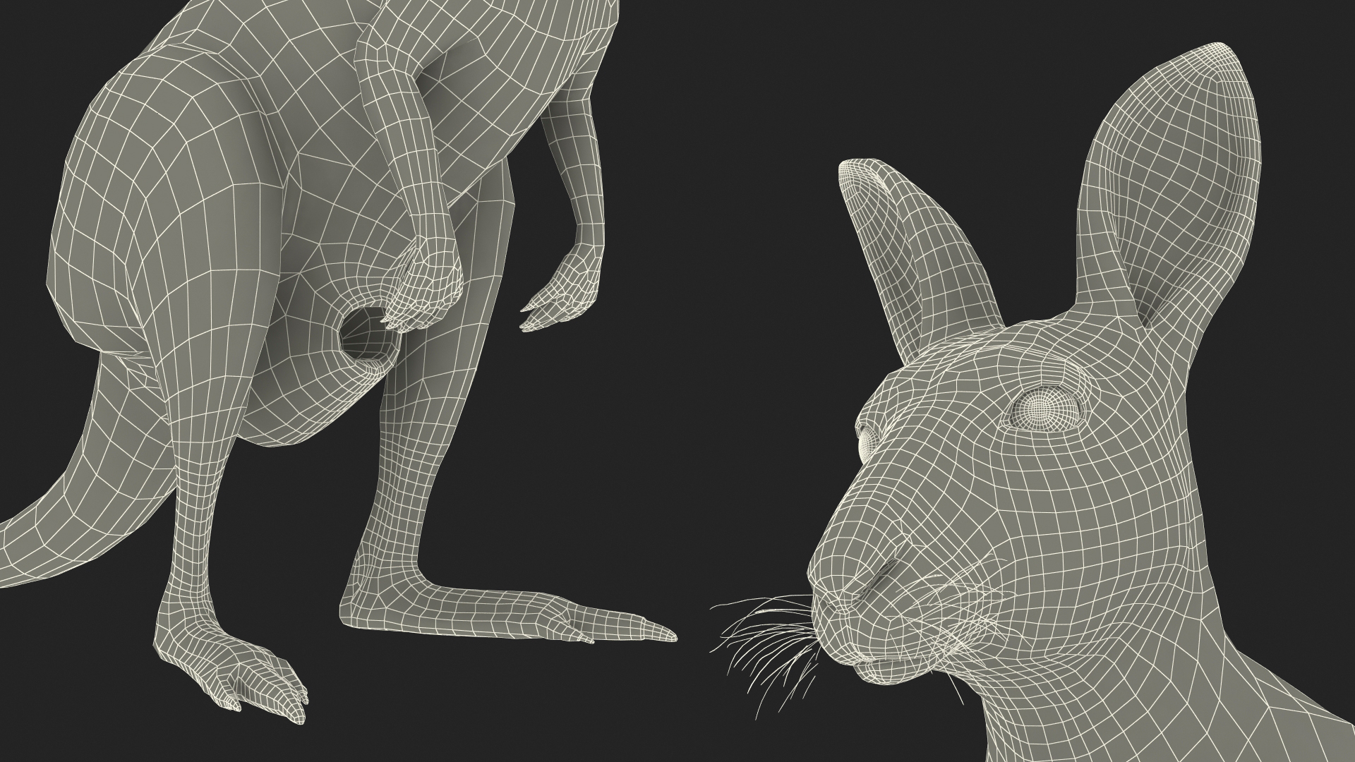 3D Female Kangaroo Fur Rigged