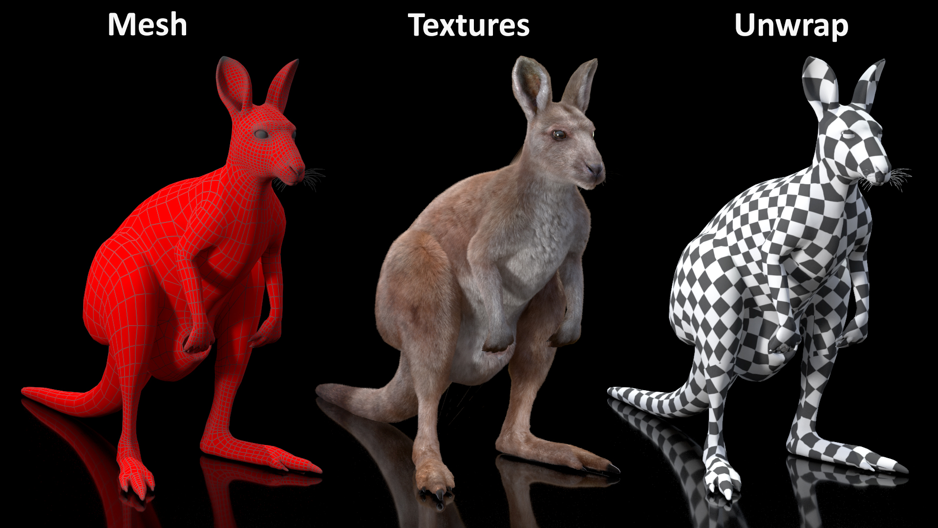 3D Female Kangaroo Fur Rigged