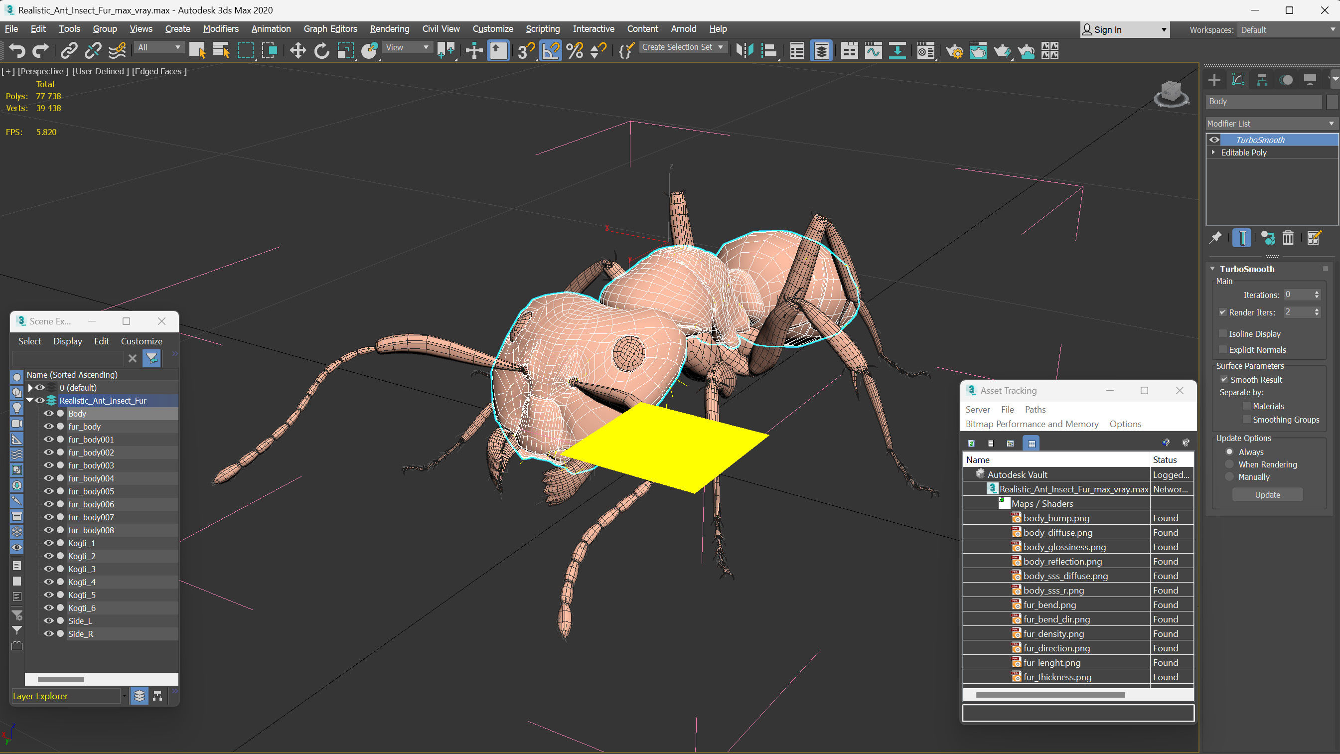 Realistic Ant Insect Fur 3D model