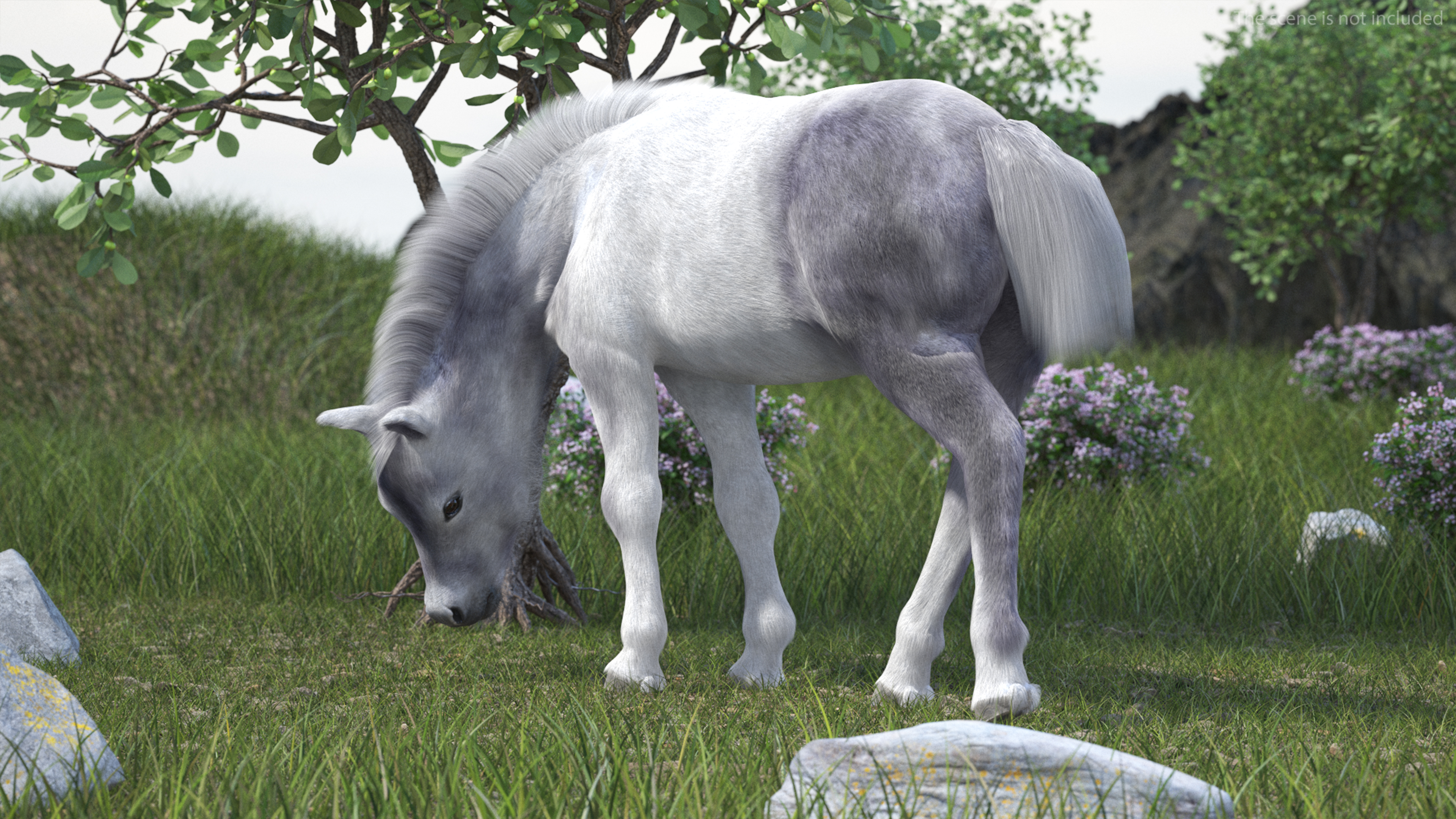 3D model Shetland Pony White Fur Rigged