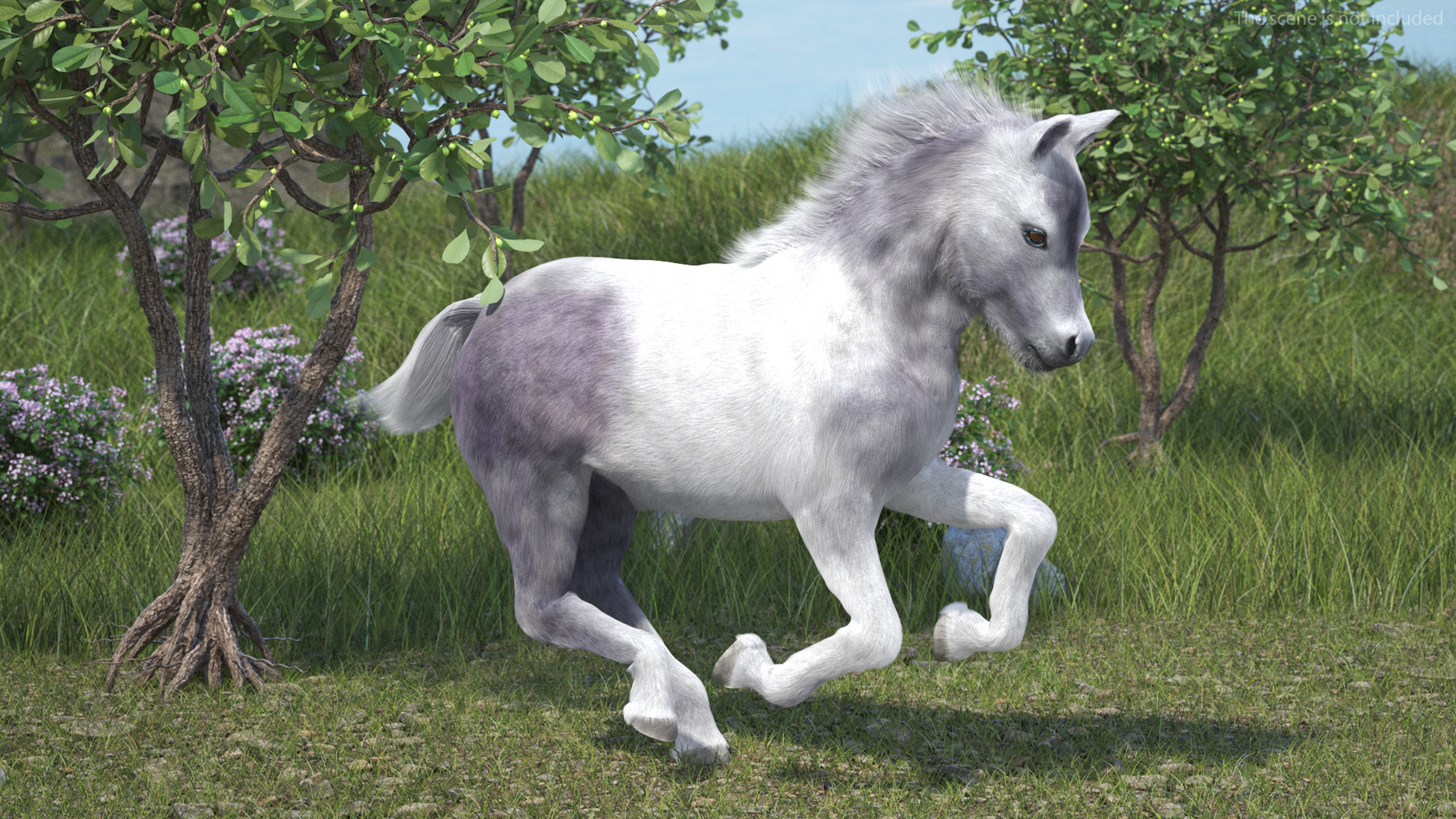 3D model Shetland Pony White Fur Rigged