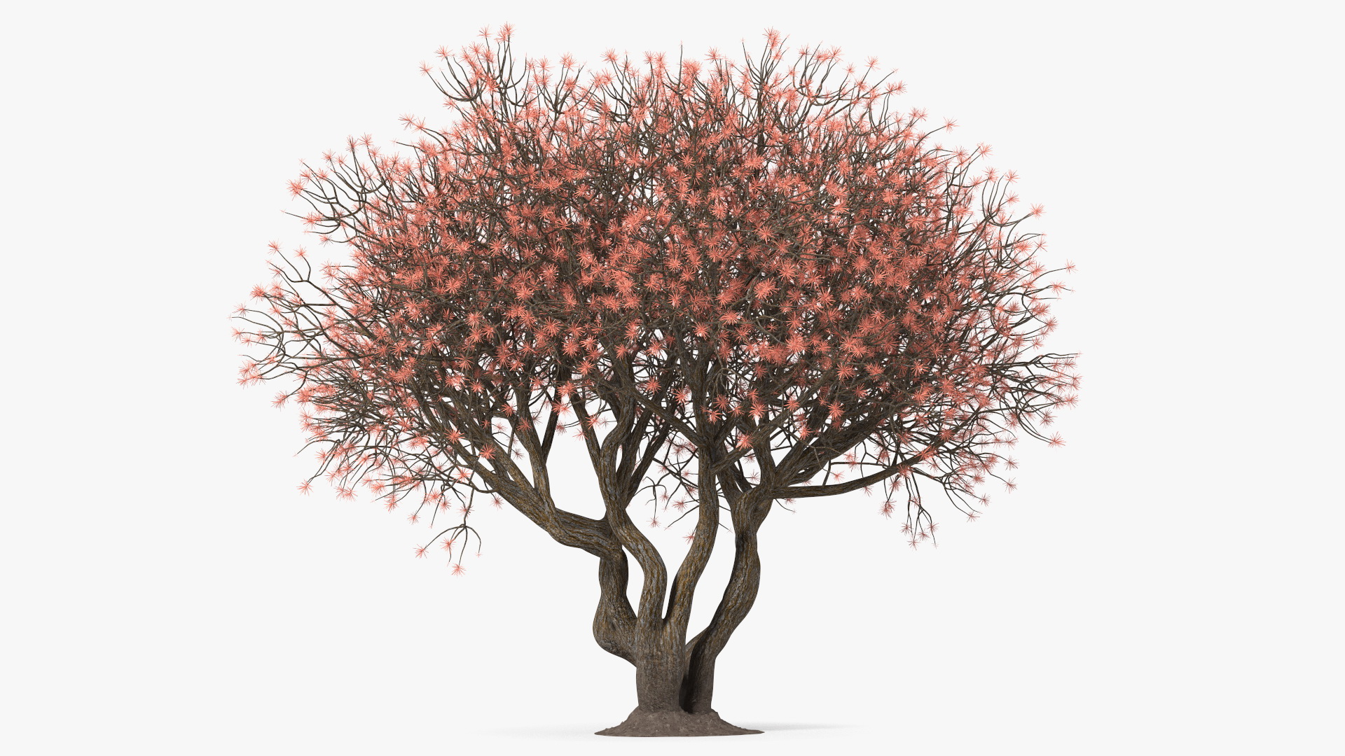 3D Rhododendron with Twigs model