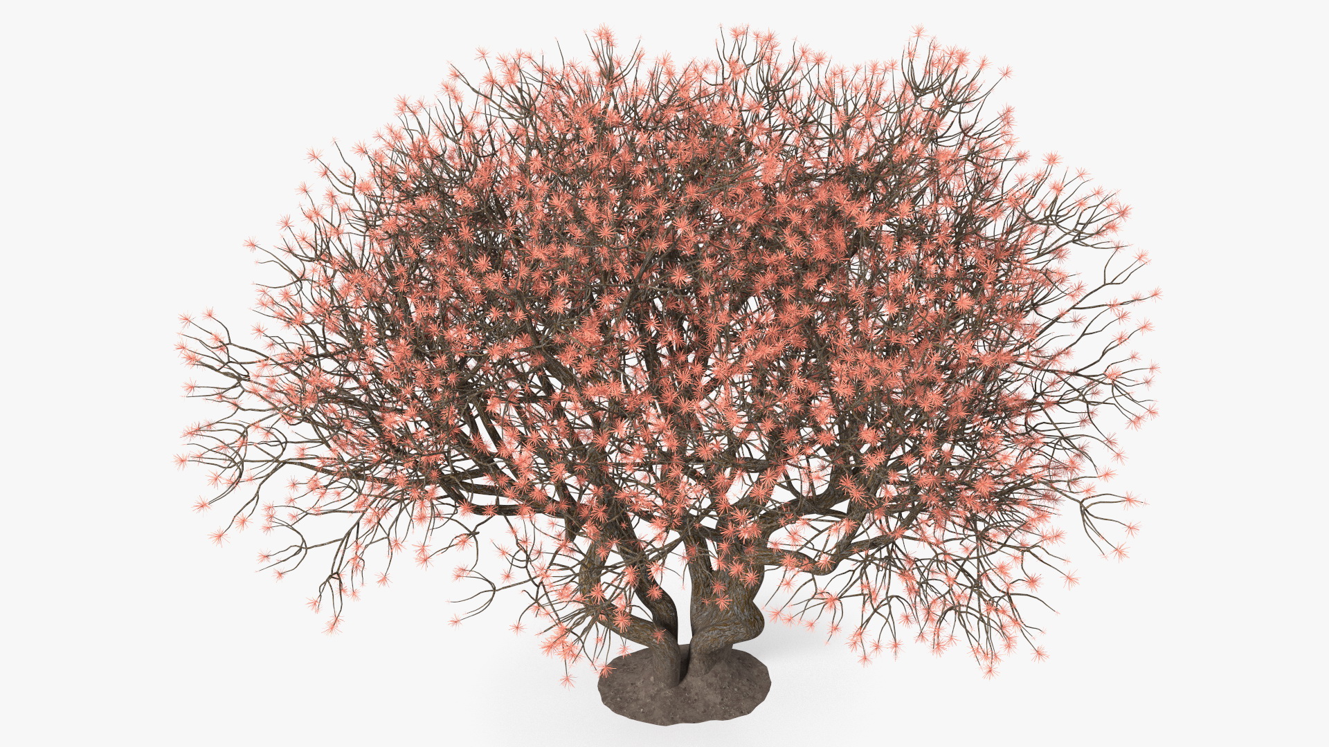 3D Rhododendron with Twigs model