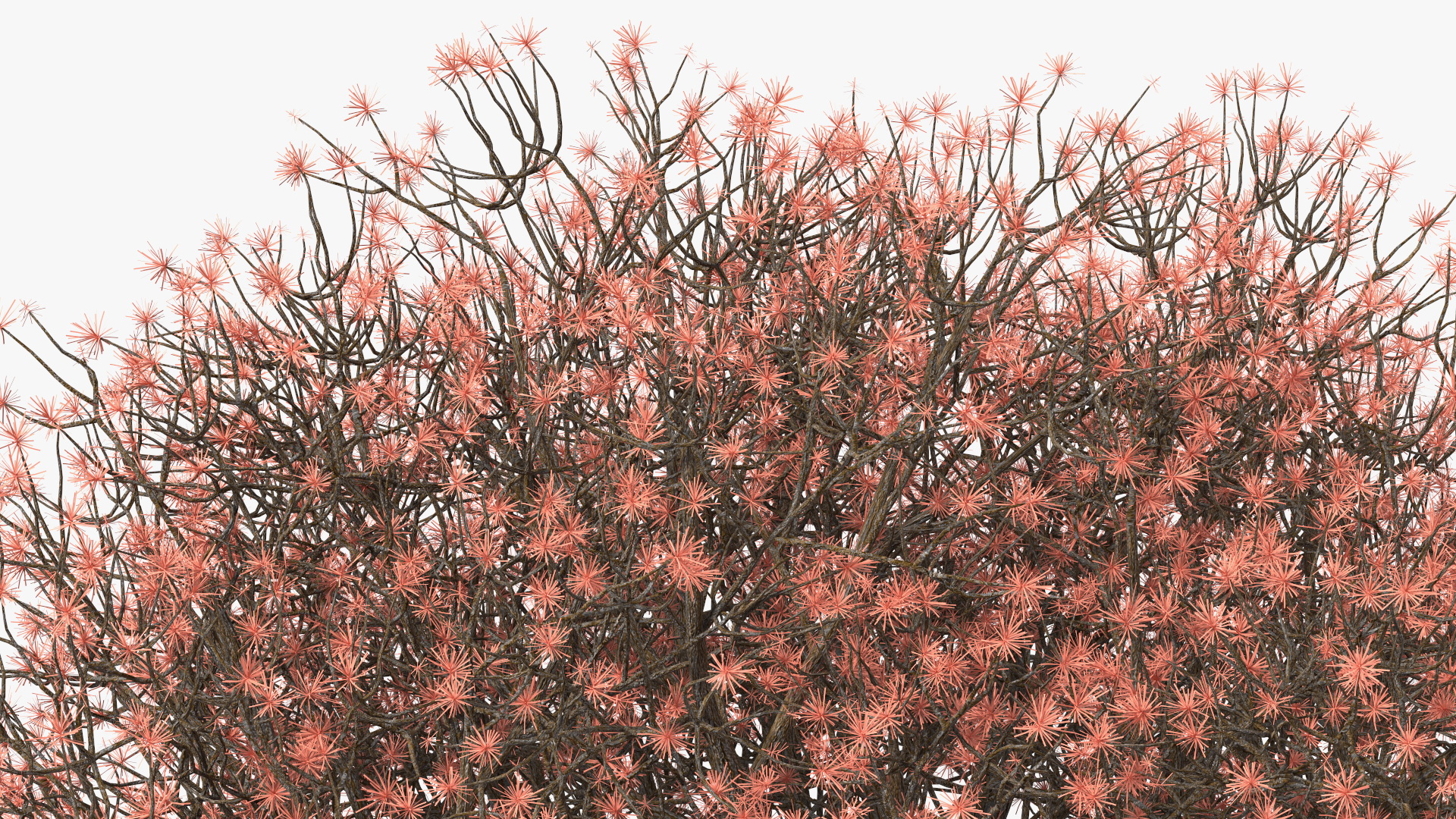 3D Rhododendron with Twigs model