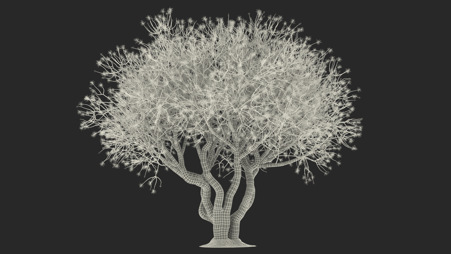 3D Rhododendron with Twigs model