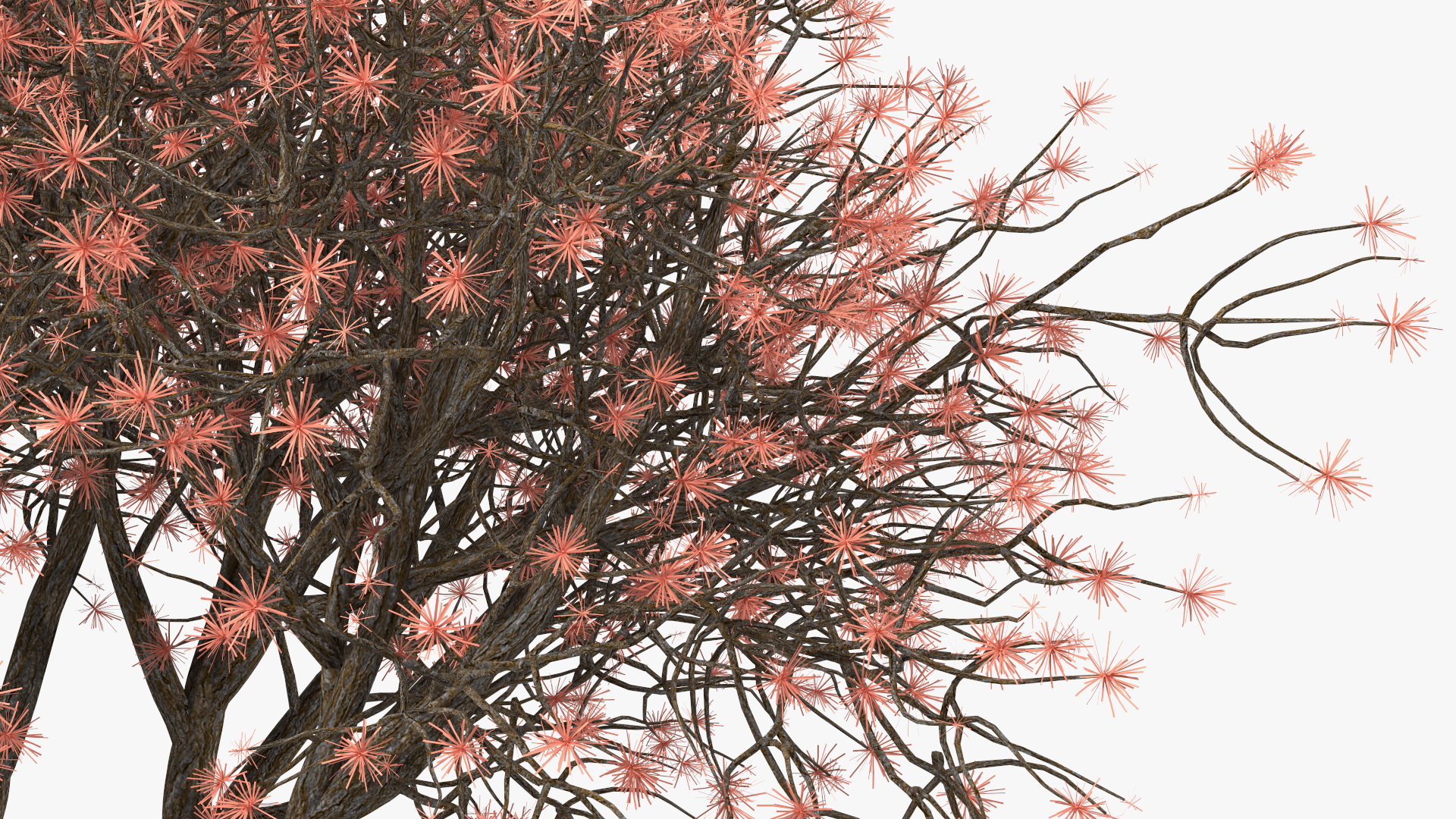 3D Rhododendron with Twigs model