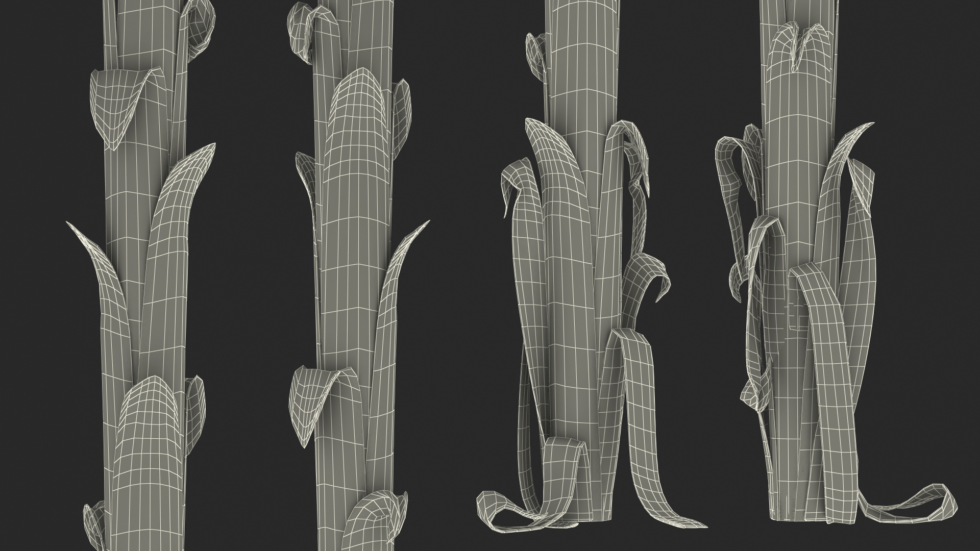 3D Tall Banana Tree