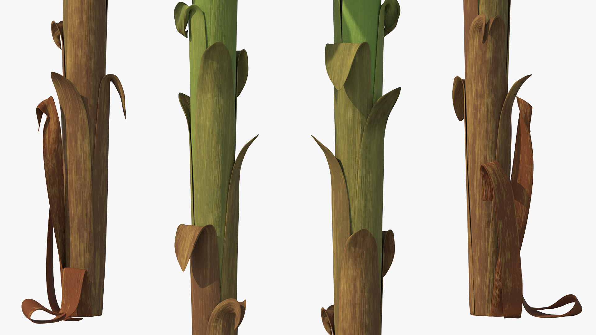 3D Tall Banana Tree