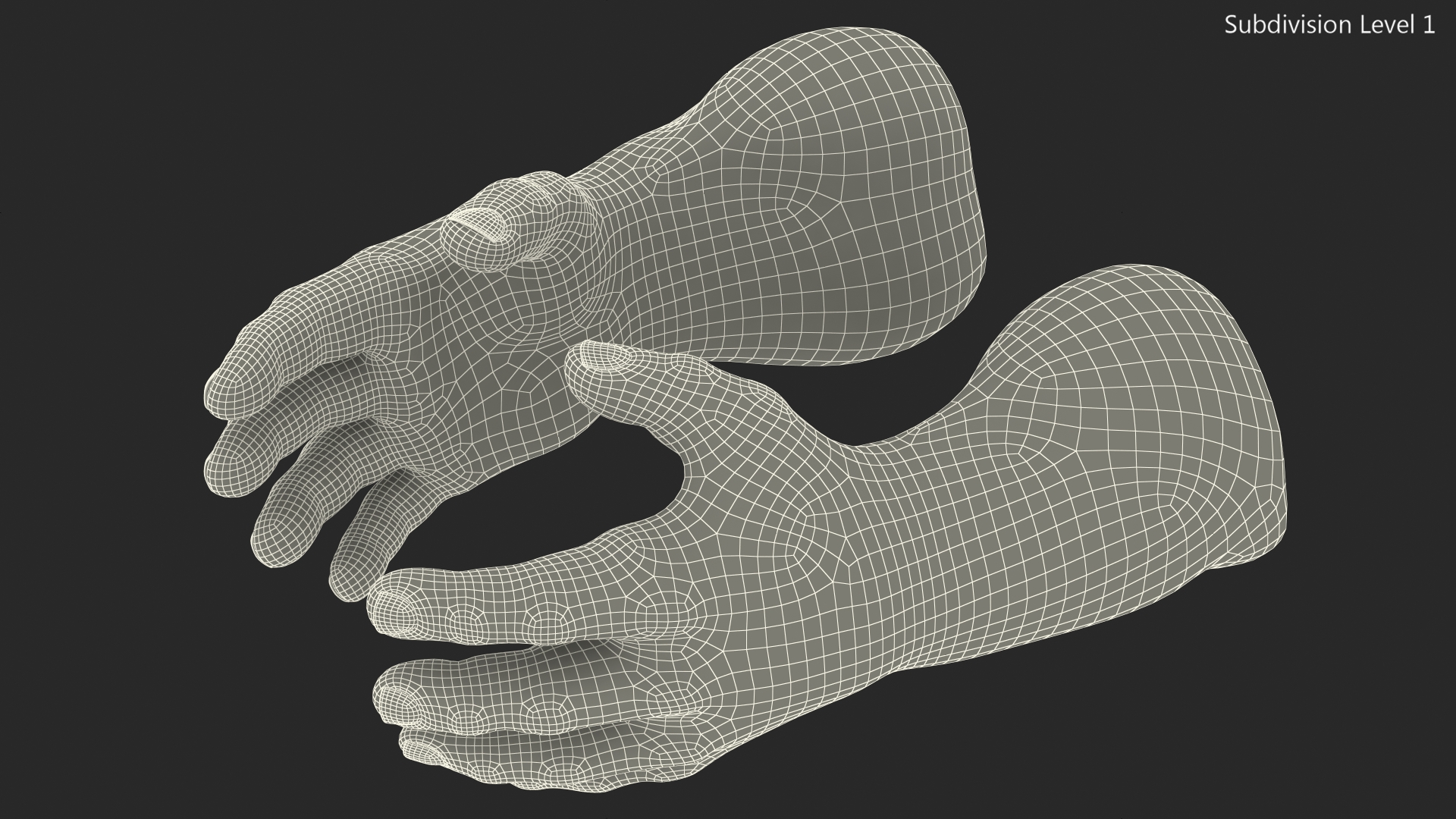 3D model Hulk Hands