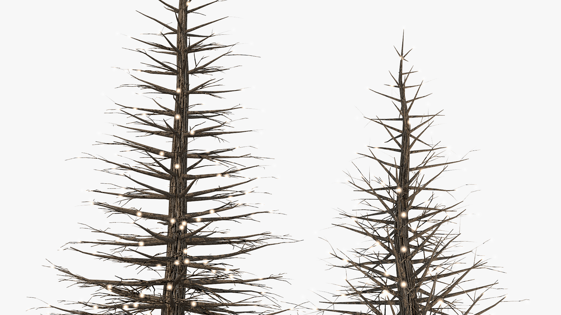 3D model Light Tree