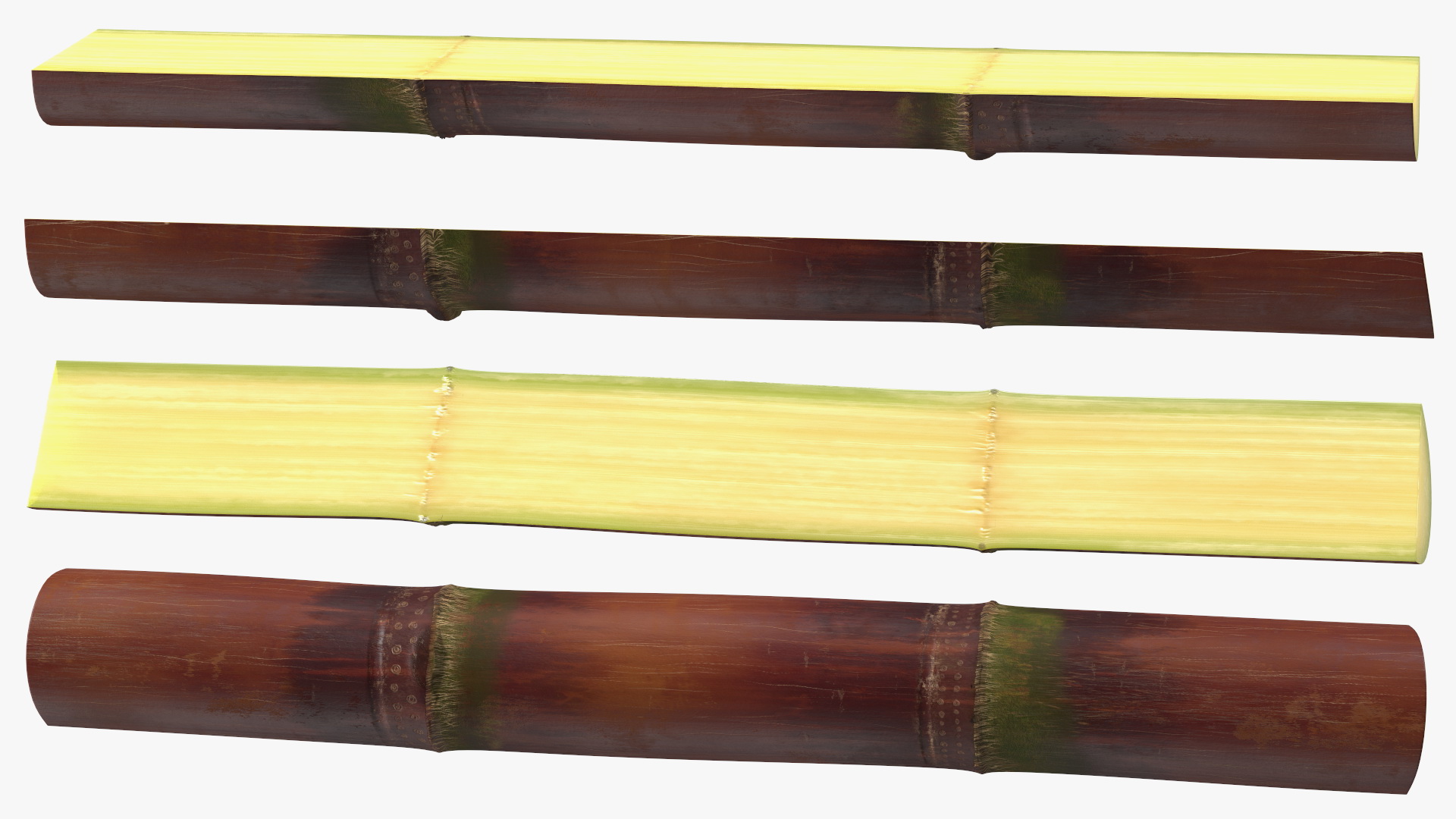 3D model Brown Sugarcane Half Cut Piece