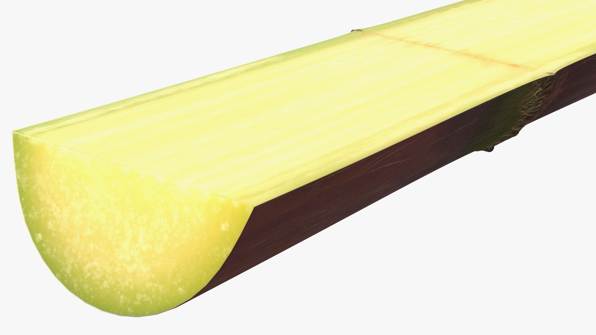 3D model Brown Sugarcane Half Cut Piece