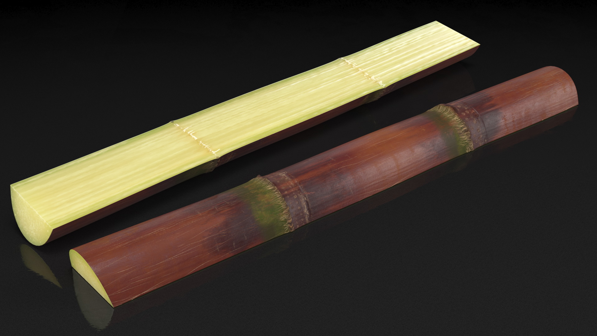 3D model Brown Sugarcane Half Cut Piece