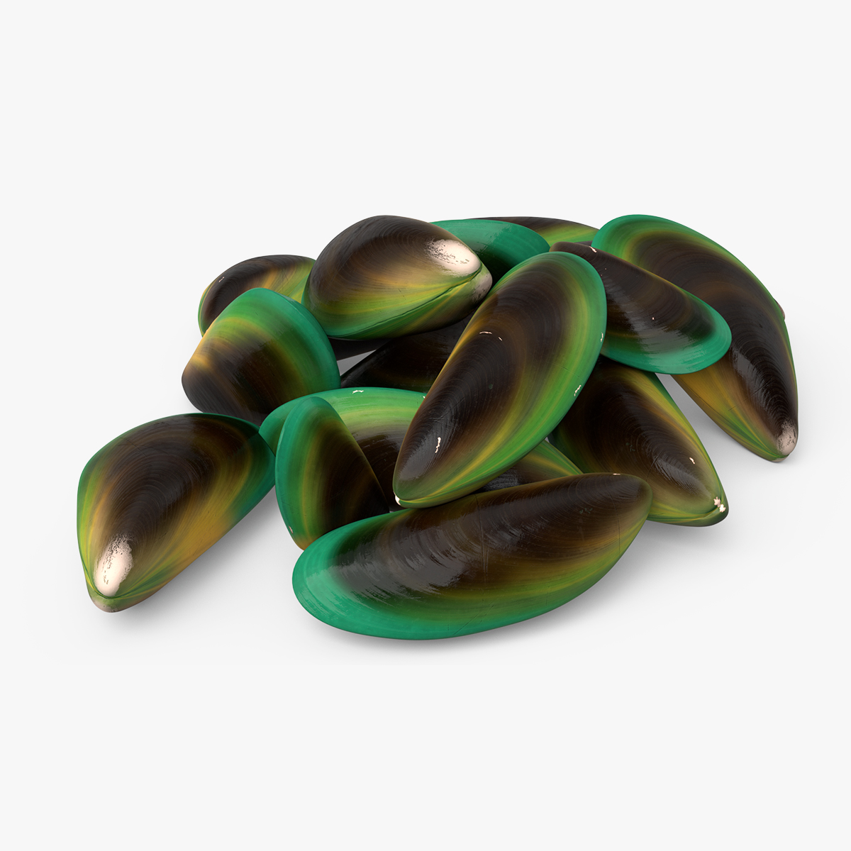 3D Pile of Green Lipped Clams