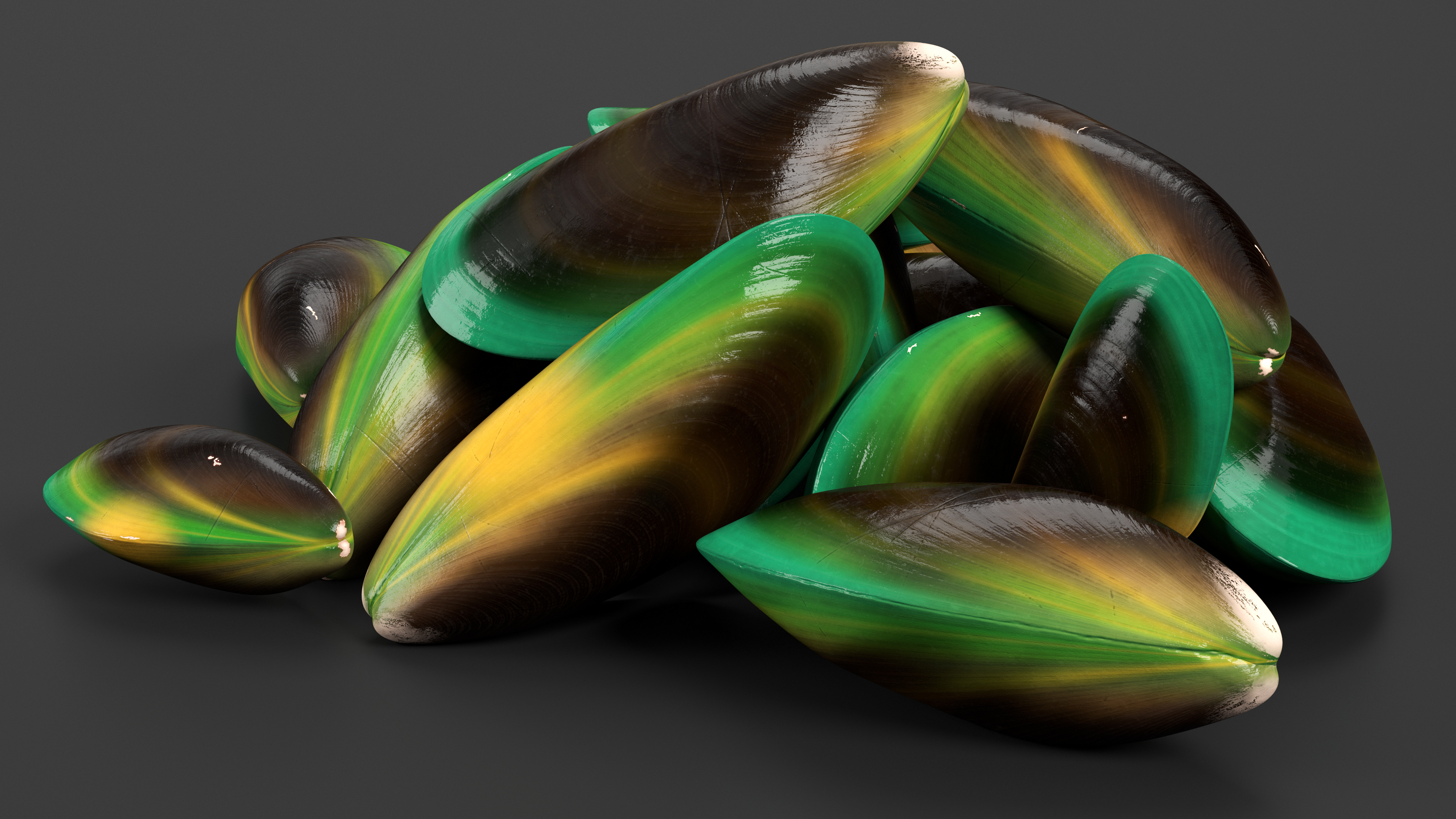 3D Pile of Green Lipped Clams