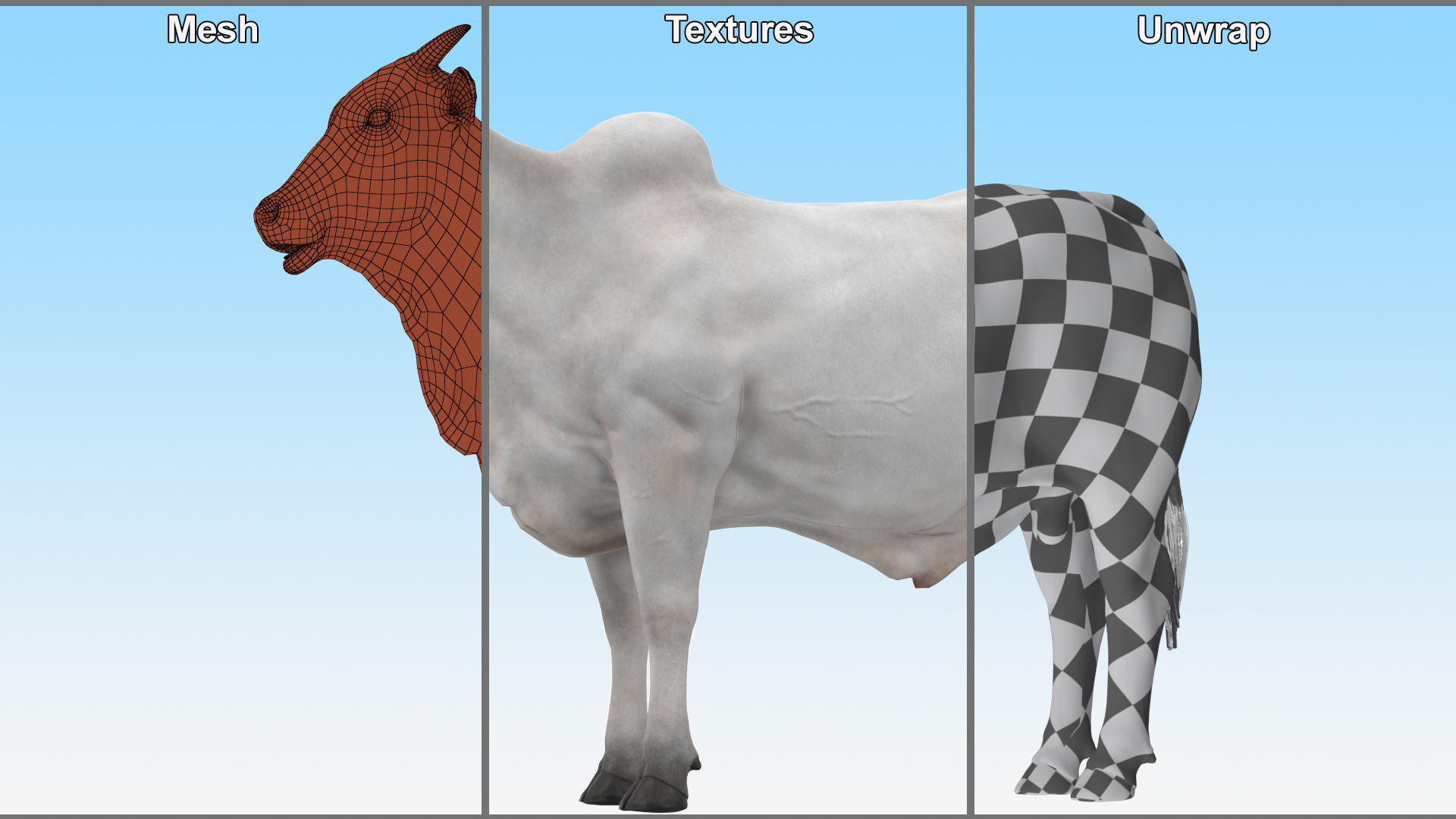 Nelore Cow Male Fur 3D model