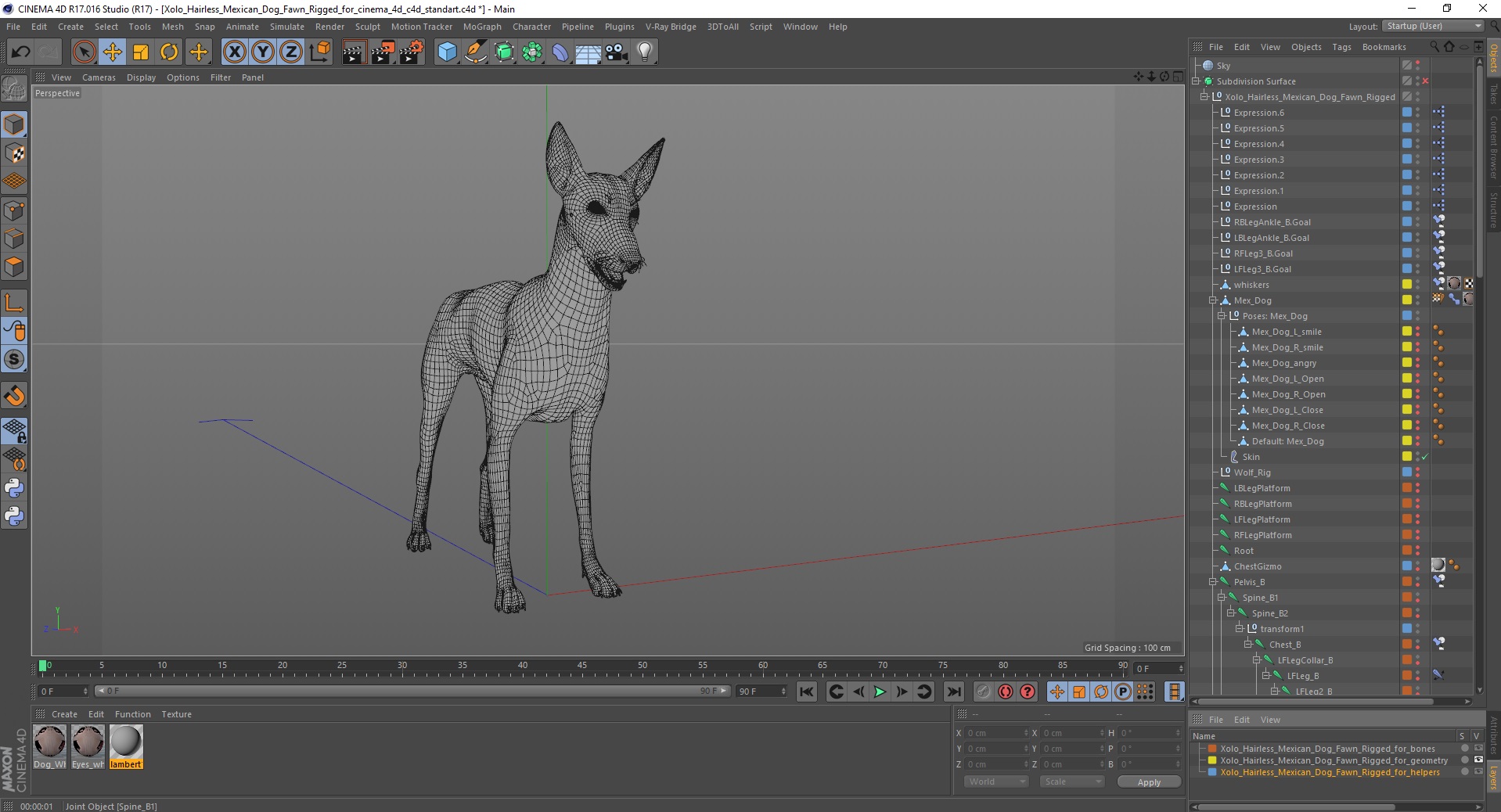 3D Xolo Hairless Mexican Dog Fawn Rigged for Cinema 4D