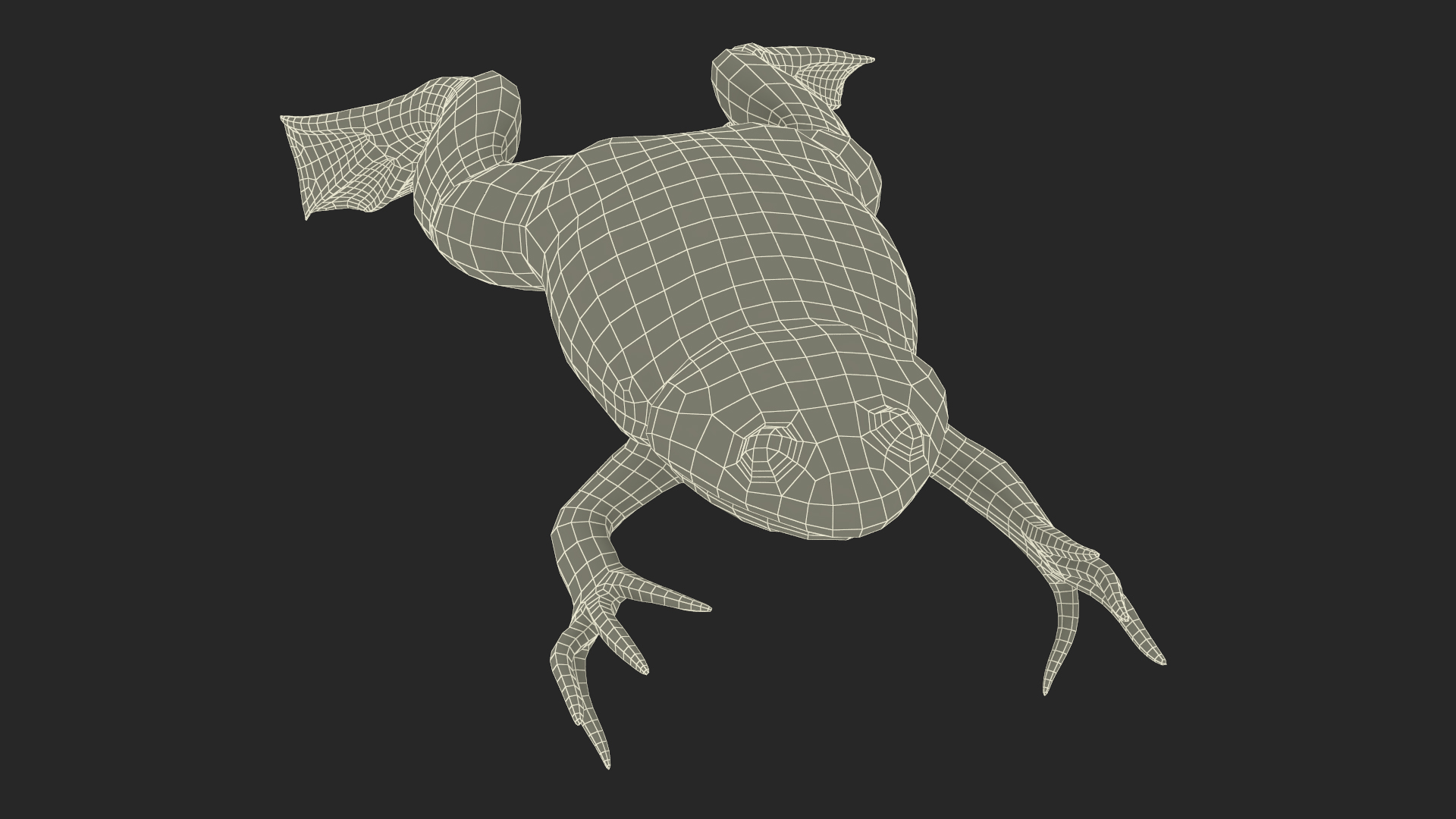 Xenopus African Clawed Toad Jump Pose 3D