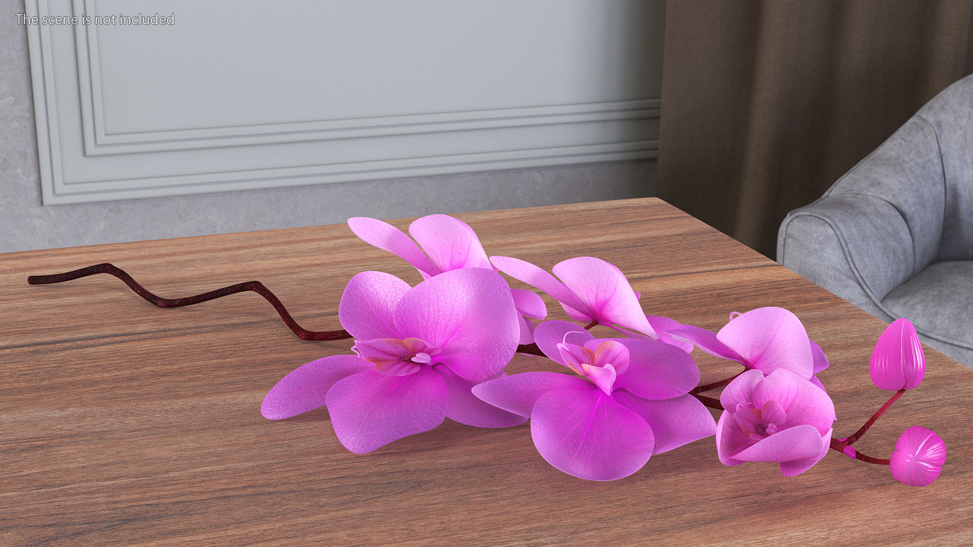 3D model Small Stem of Pink Orchid