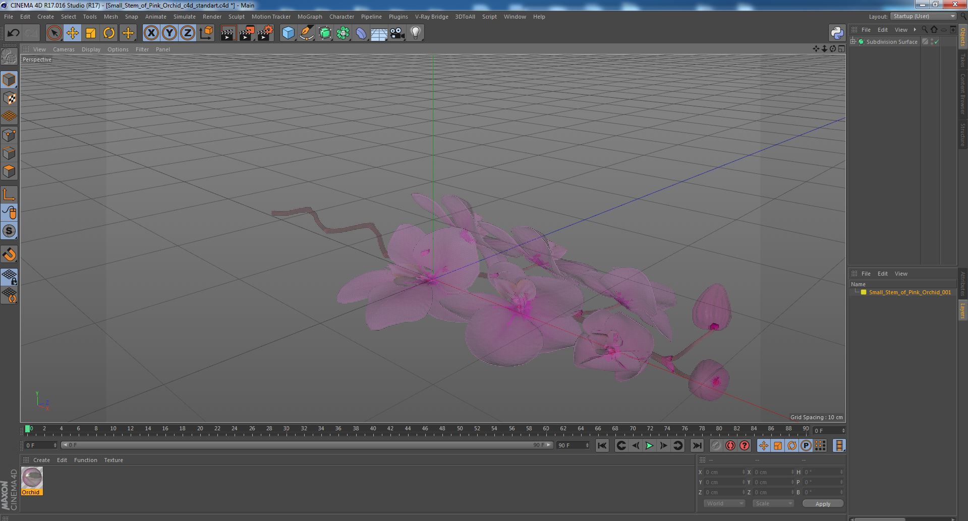 3D model Small Stem of Pink Orchid