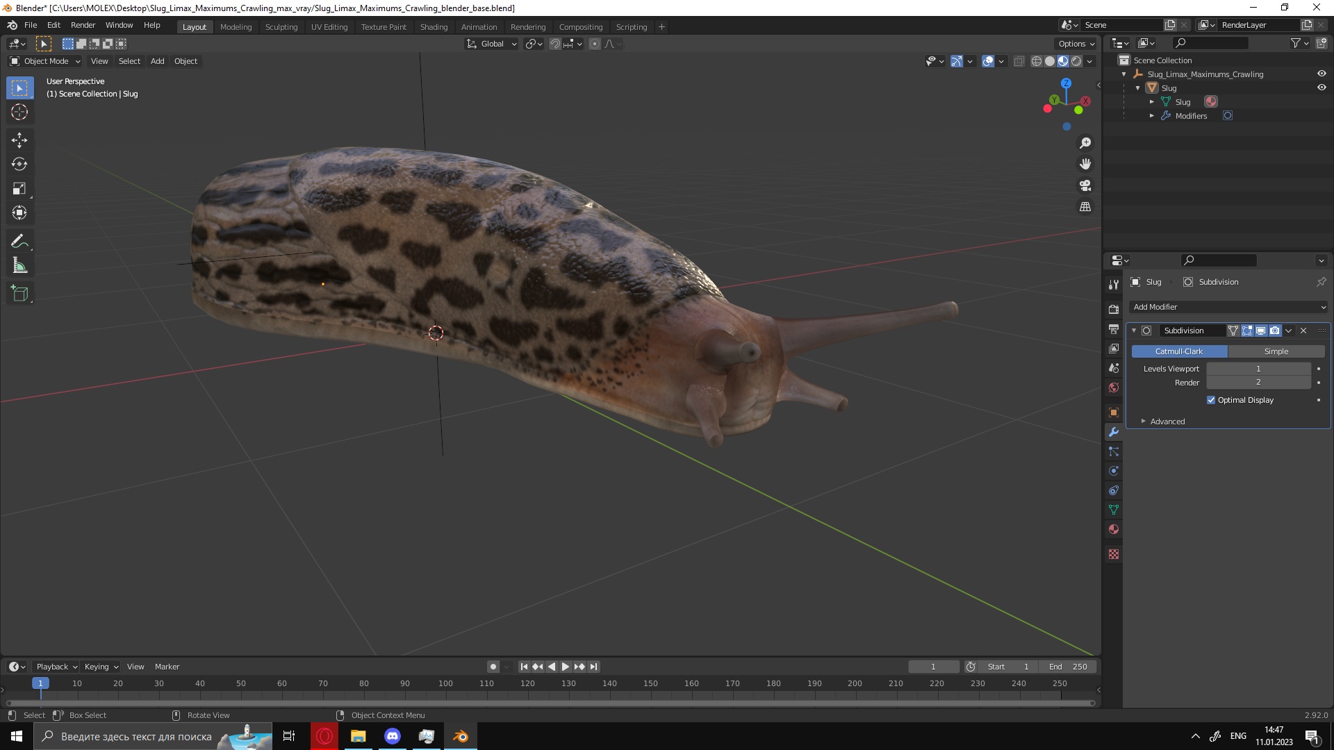 3D Slug Limax Maximums Crawling model