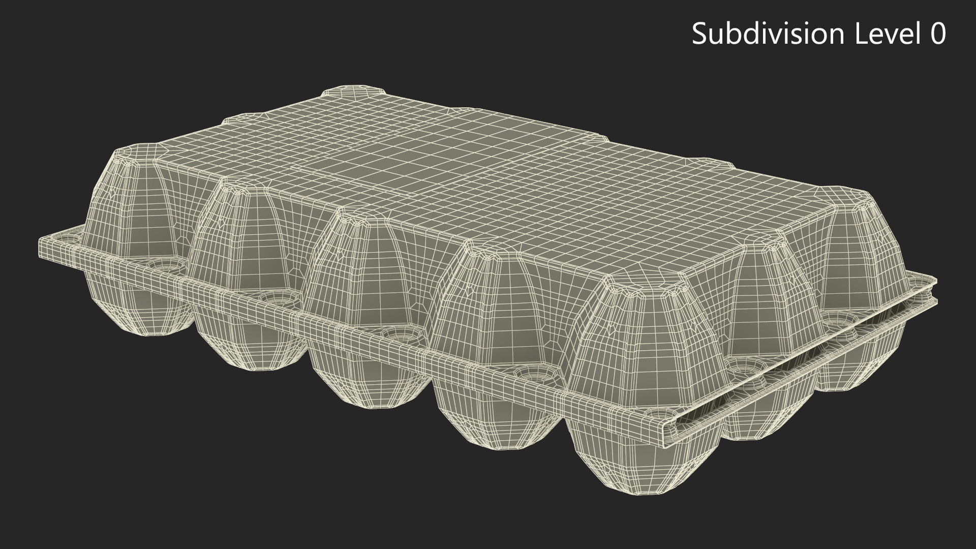 Empty Egg Plastic Packaging for 15 Chicken Eggs 3D