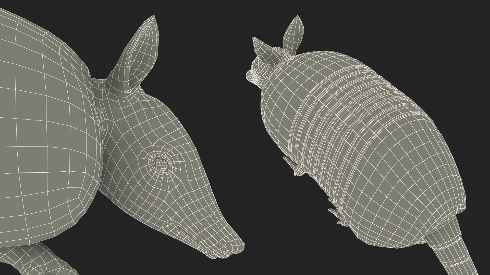 3D Armadillo in Walking Pose Black