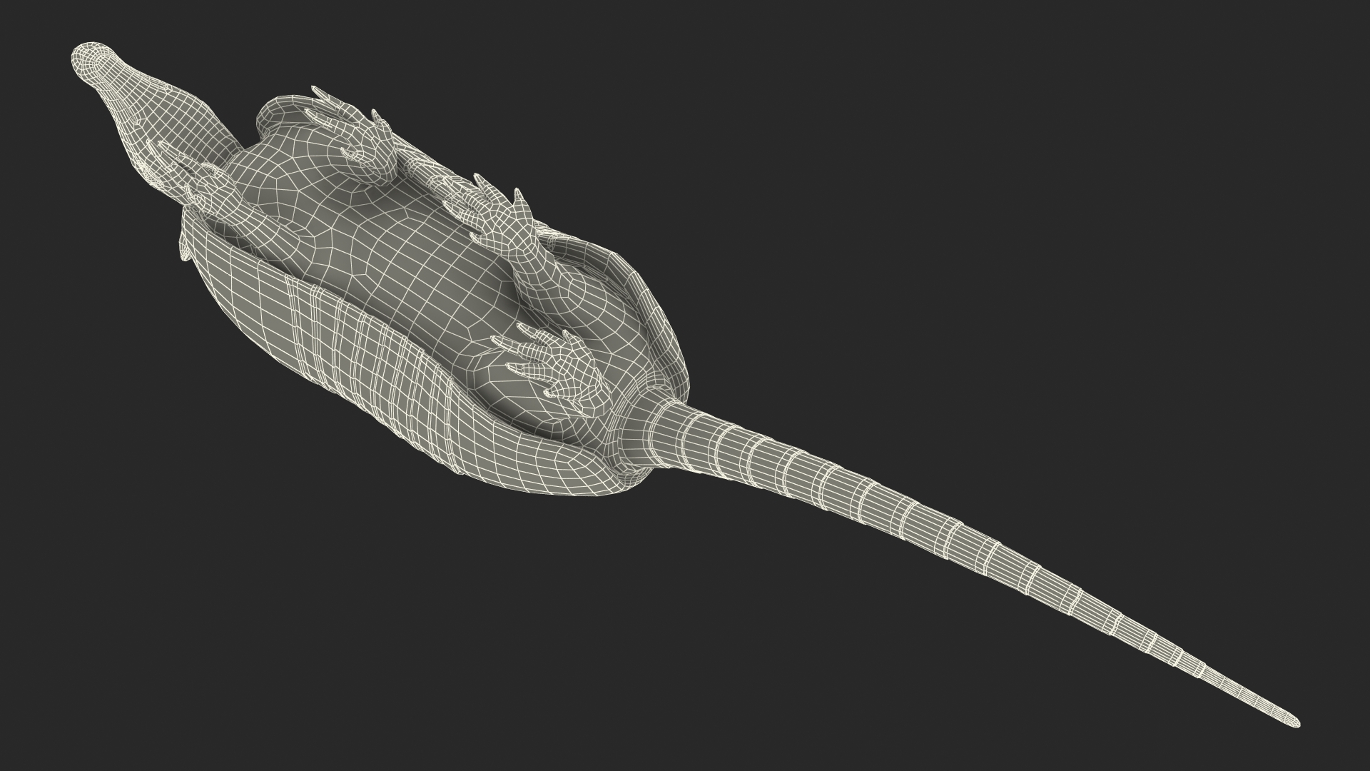 3D Armadillo in Walking Pose Black