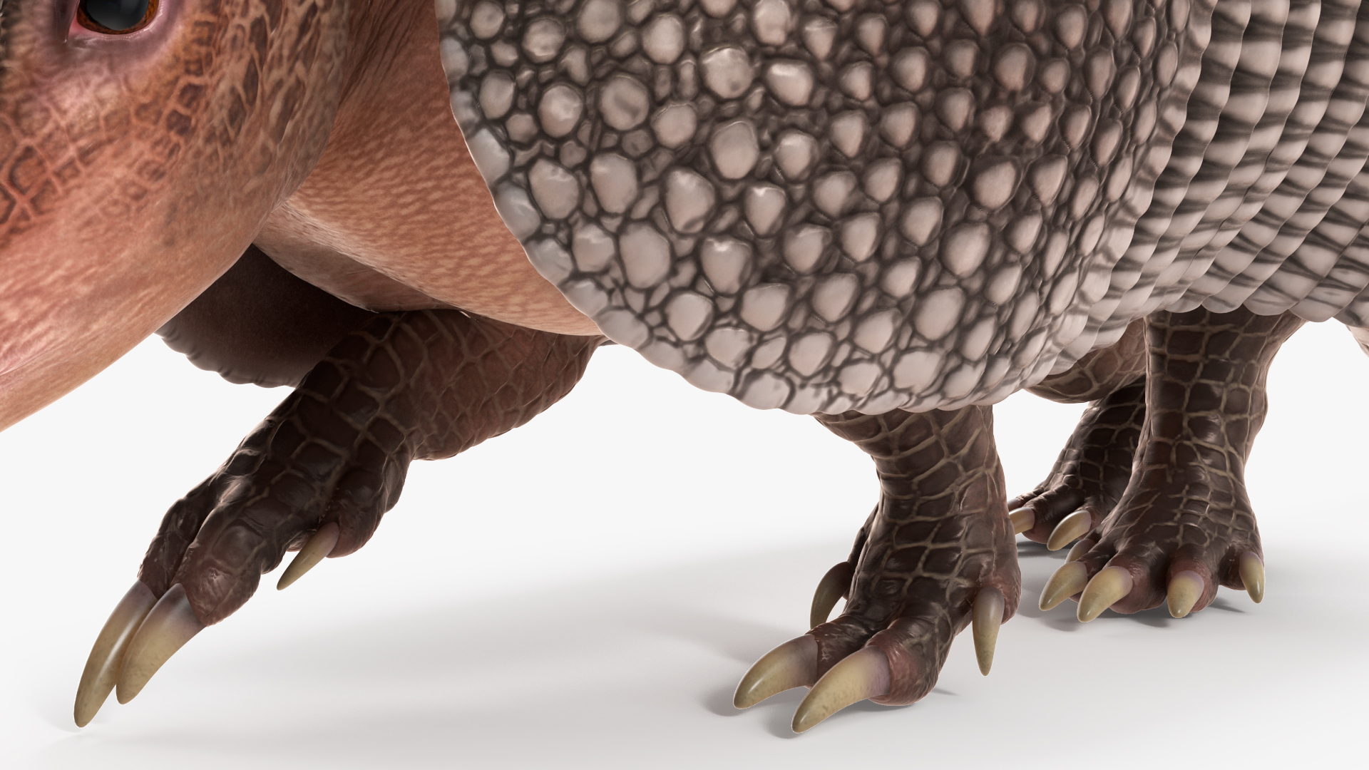 3D Armadillo in Walking Pose Black