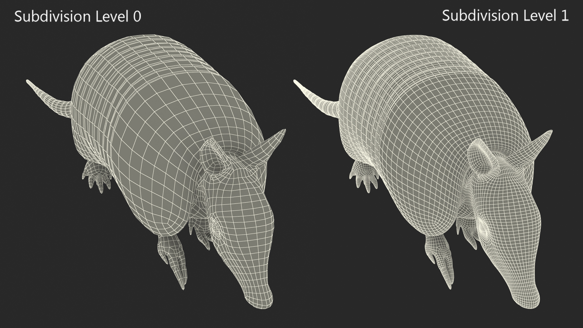 3D Armadillo in Walking Pose Black