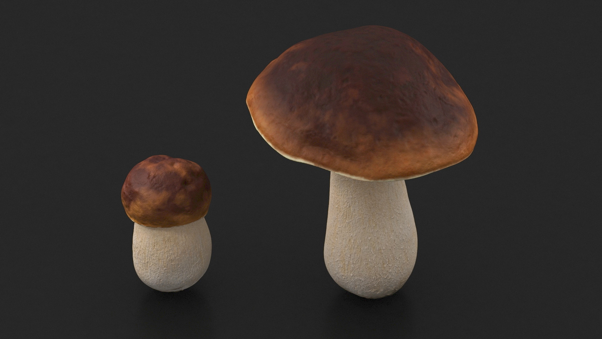 Boletus Edulis 3D model