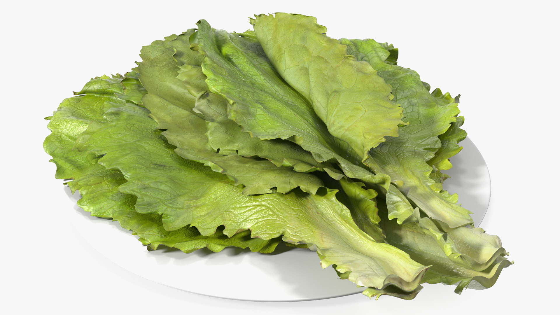 3D Lettuce Leaves on Plate model