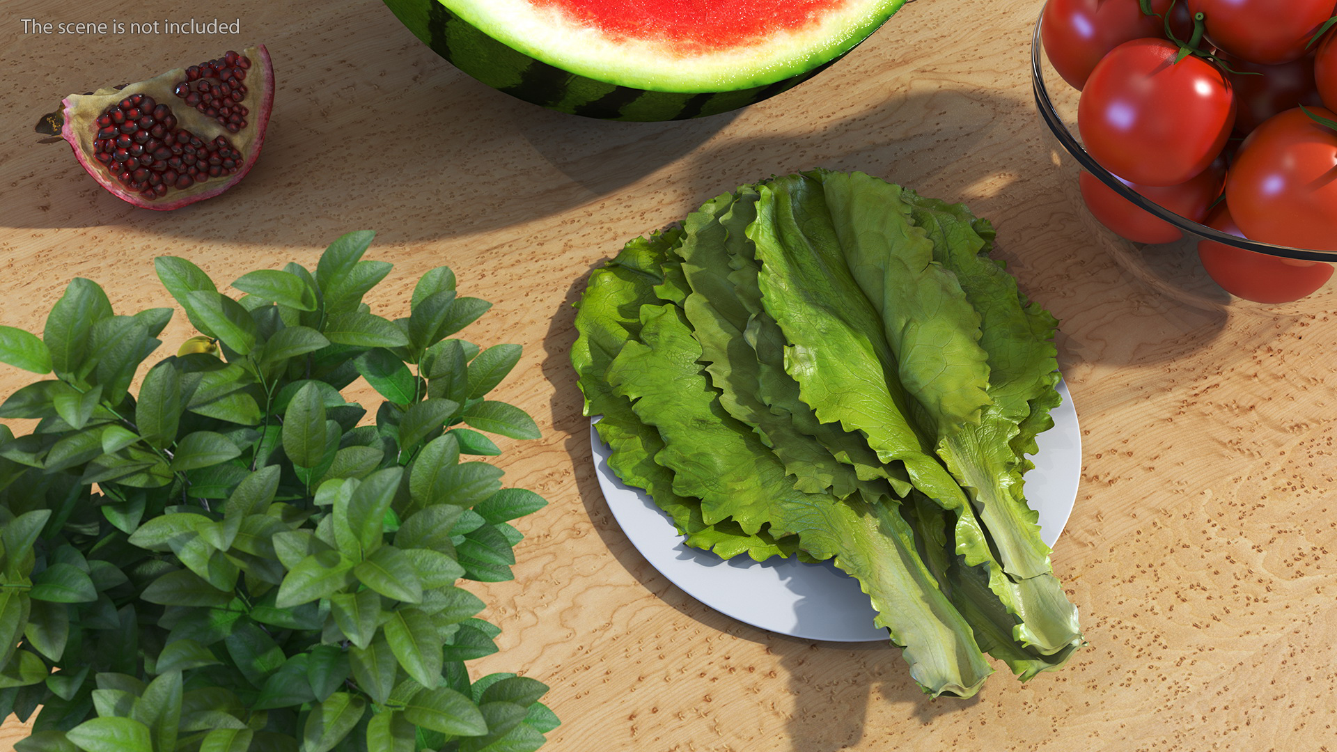 3D Lettuce Leaves on Plate model